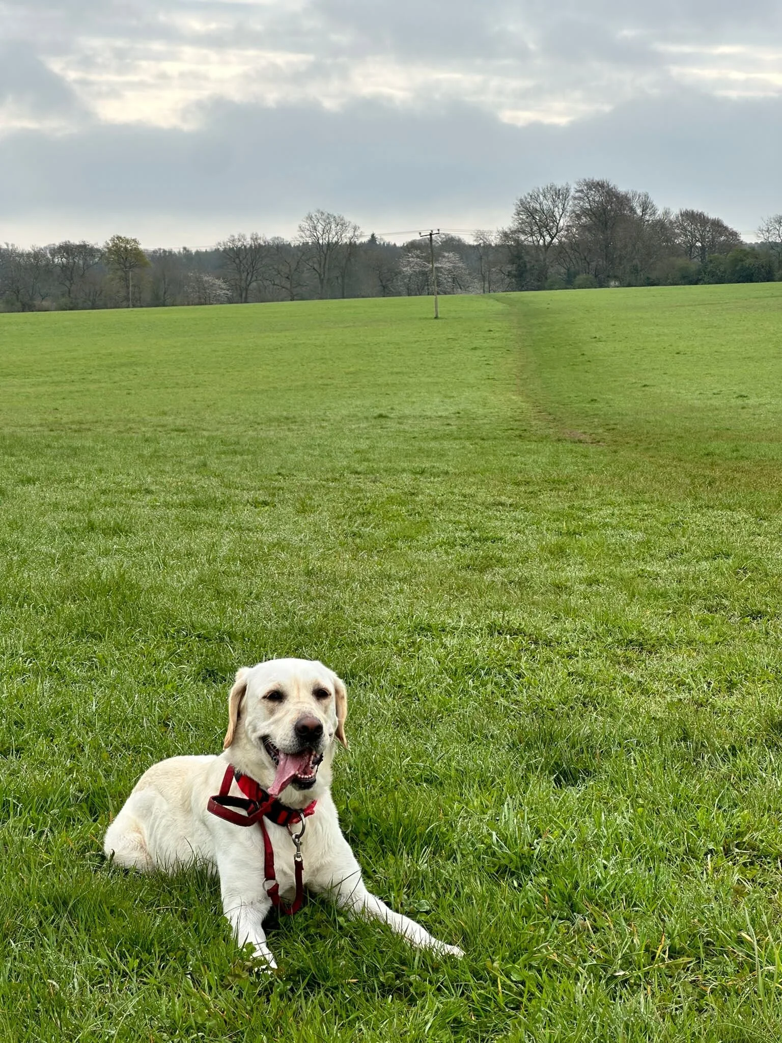 1A35A1BC-9C7F-4A17-BF77-AF750D6C9C6D