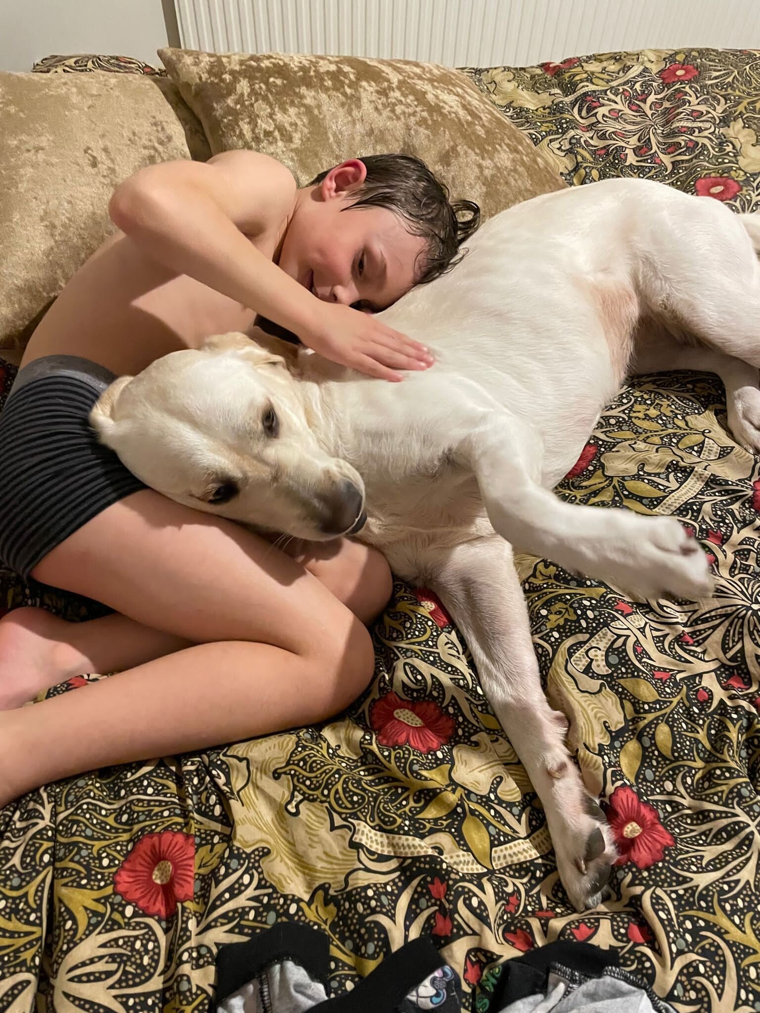 42486F84-D7EA-4C4B-A2BF-0E70CC450E02