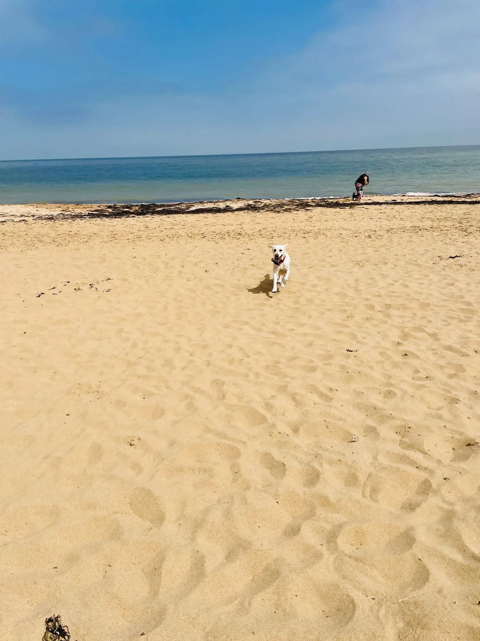 83CDE919-3B6D-4192-947A-46682C345AD5