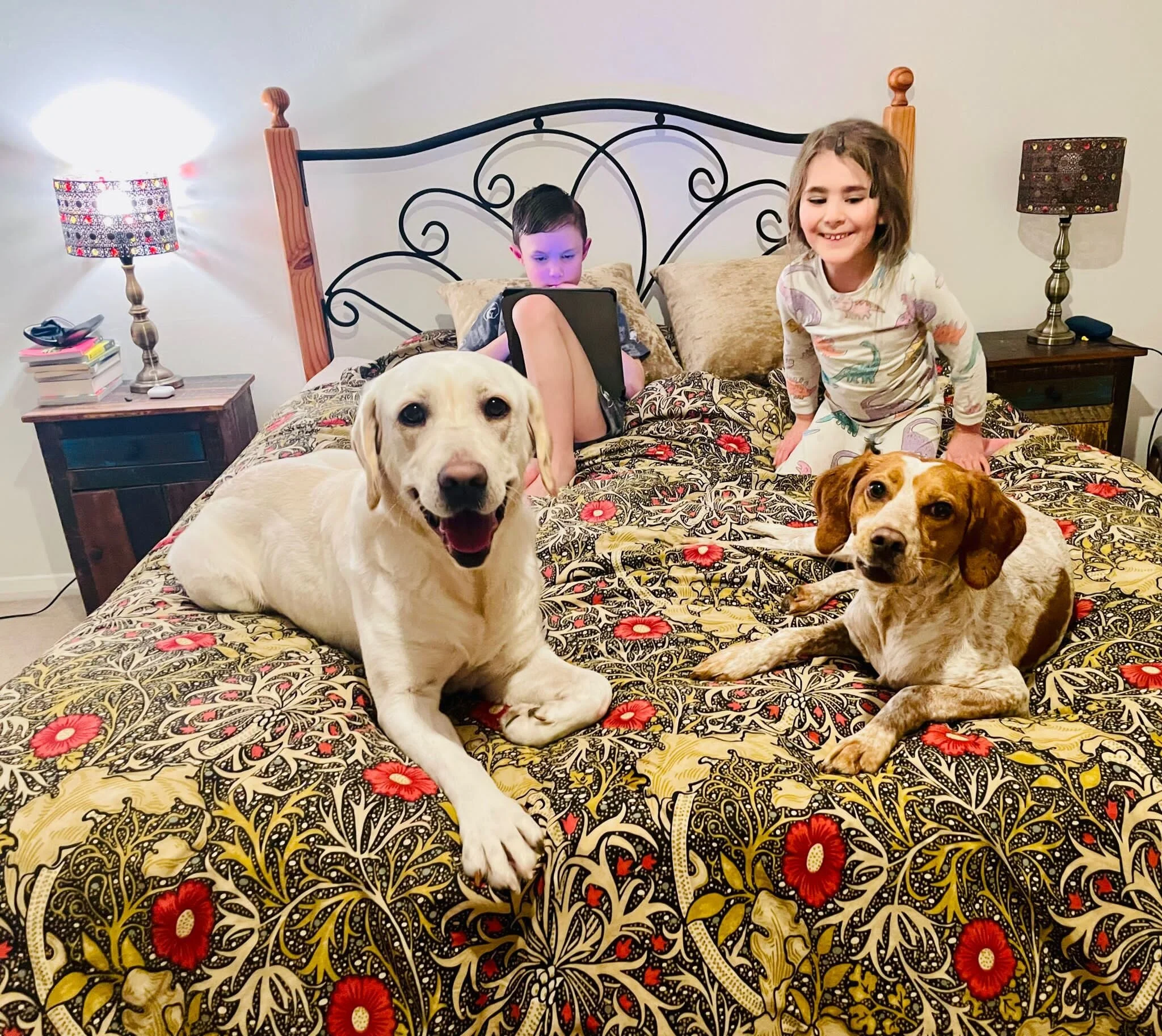 6E8F32CE-510A-45C6-88A2-8F78E305D9ED