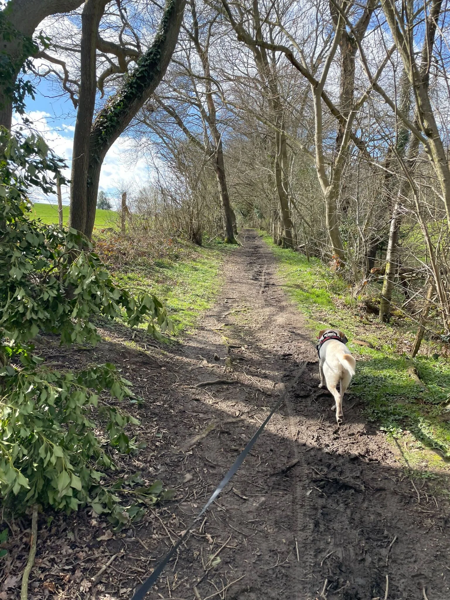 E60768BA-0575-4FB8-9806-C2591FB384DA