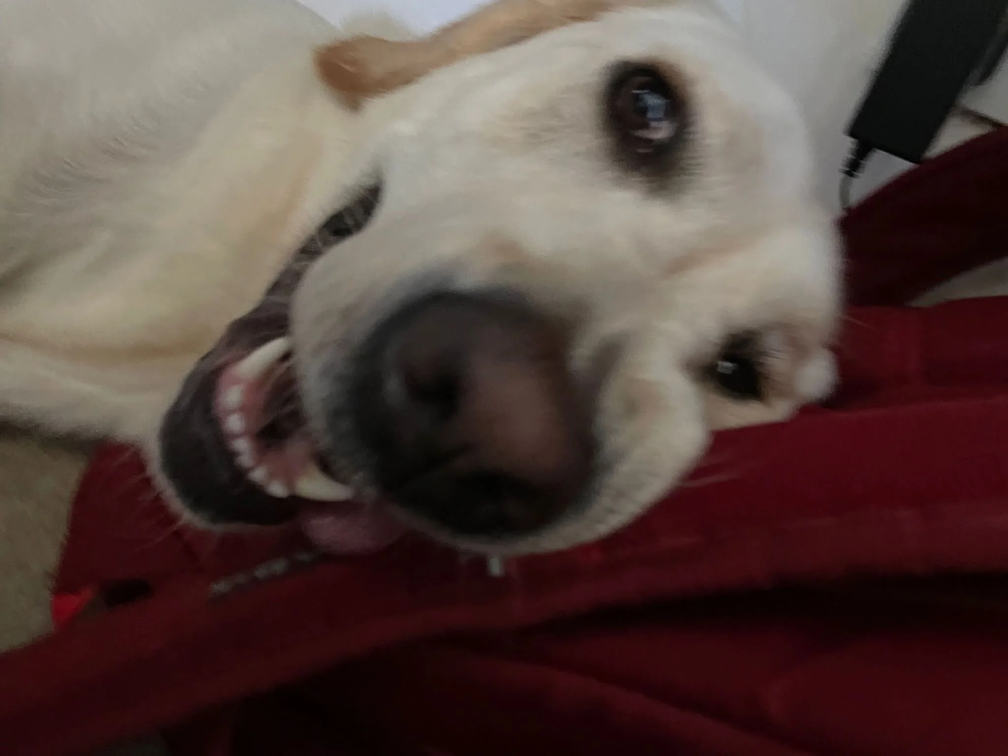 9B3A89F2-BA06-47F4-95A9-C764519CF2F7