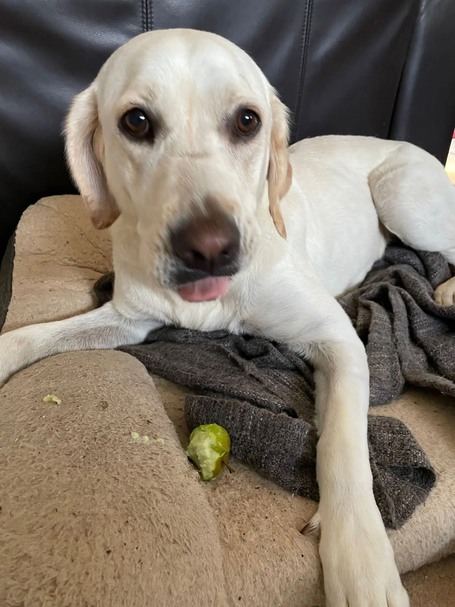 AC46A852-2C81-425A-BDF0-C05E04E141EA