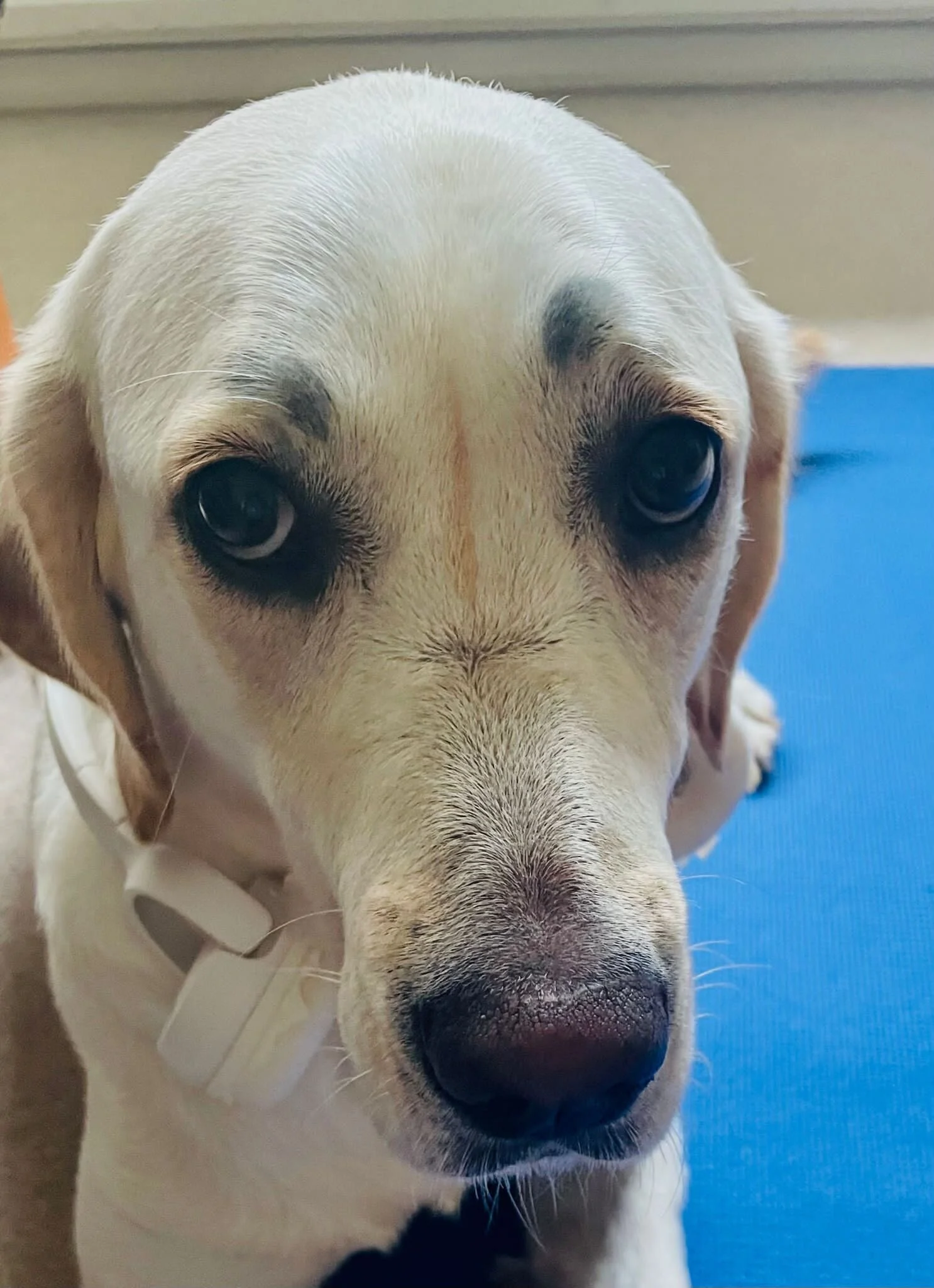 3DFC0A83-EC0D-4B22-990B-11A8723C76EF