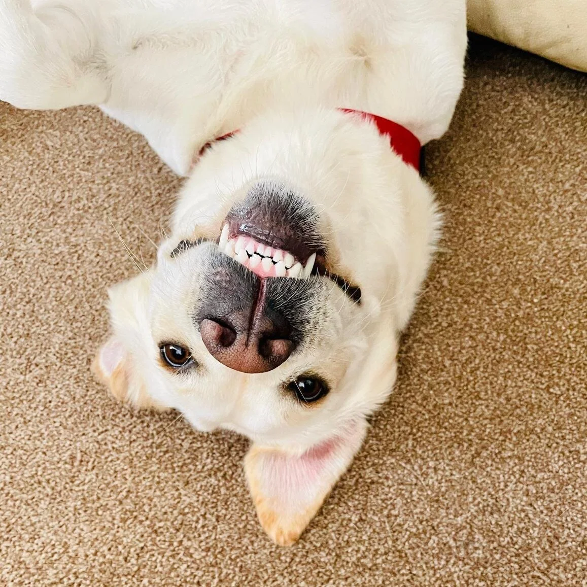 8D4FFC3A-8651-4BA3-BAEC-9C5182117480