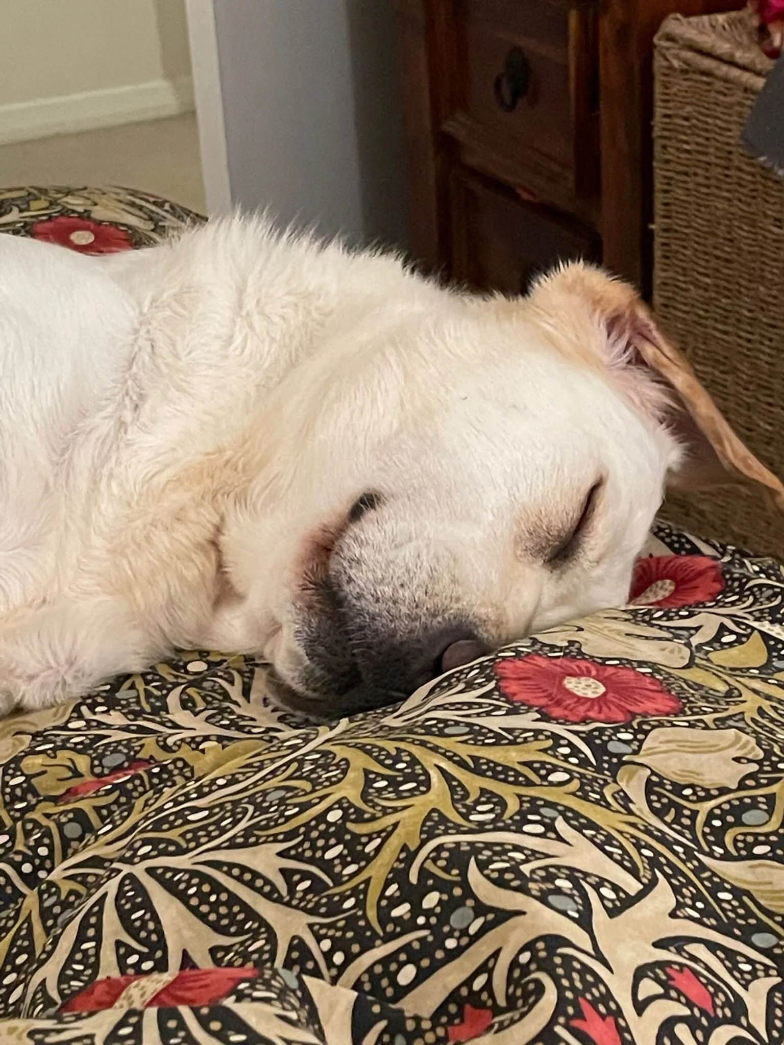 8BC97DB5-6D77-42BB-A932-FA6D977AD812