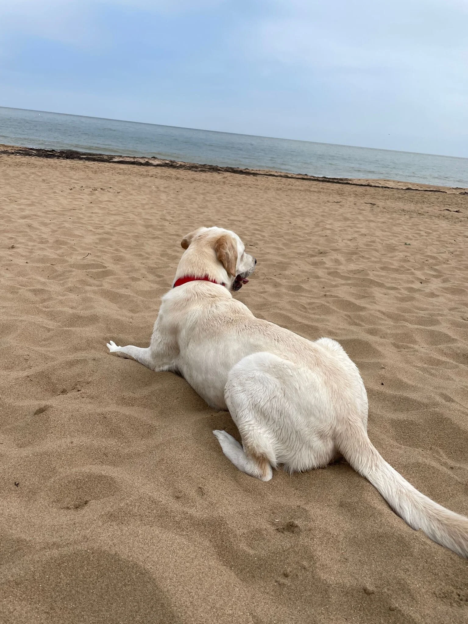 BF1ECD8A-34AA-4983-B857-134885909CA7