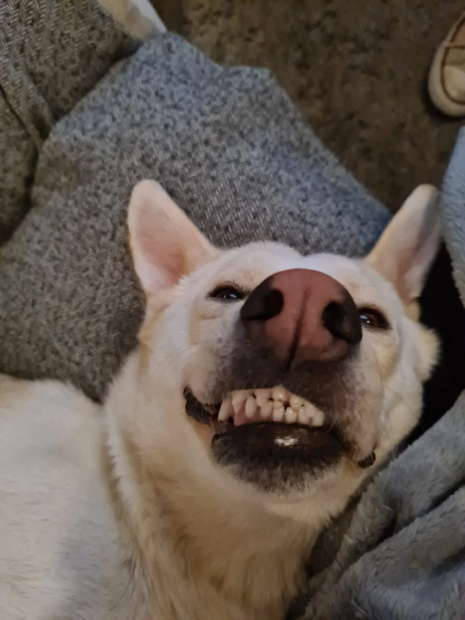 6C9D5B72-B3A8-4178-858E-43E8BCC8B28D