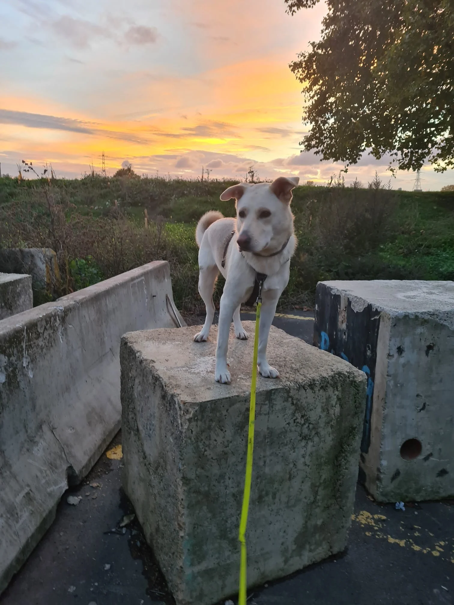 F7181CD7-5F41-4FAB-8F04-0433556149DC