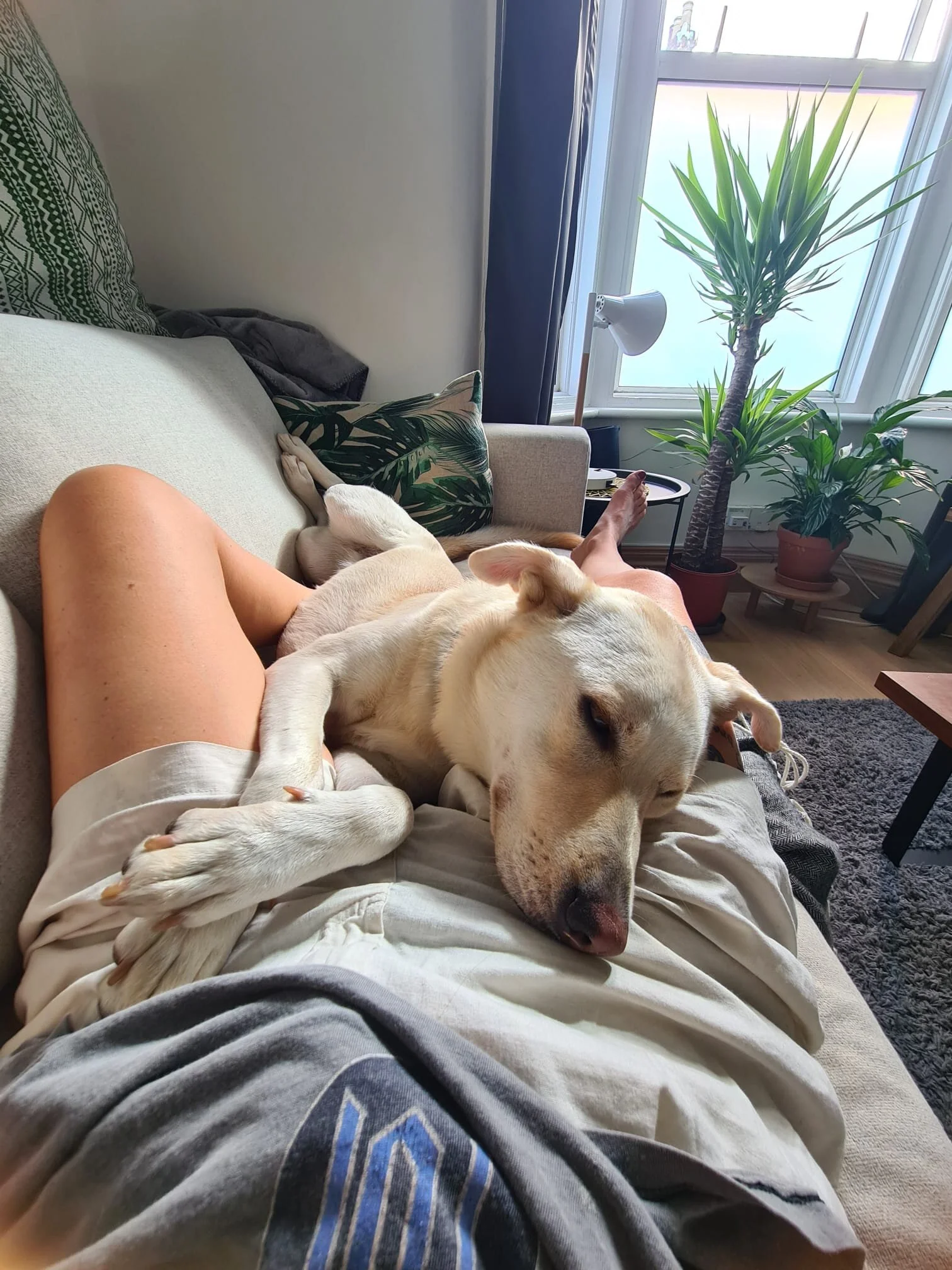 5C25CFB1-53A0-43D3-A2DB-868CAF10AB78