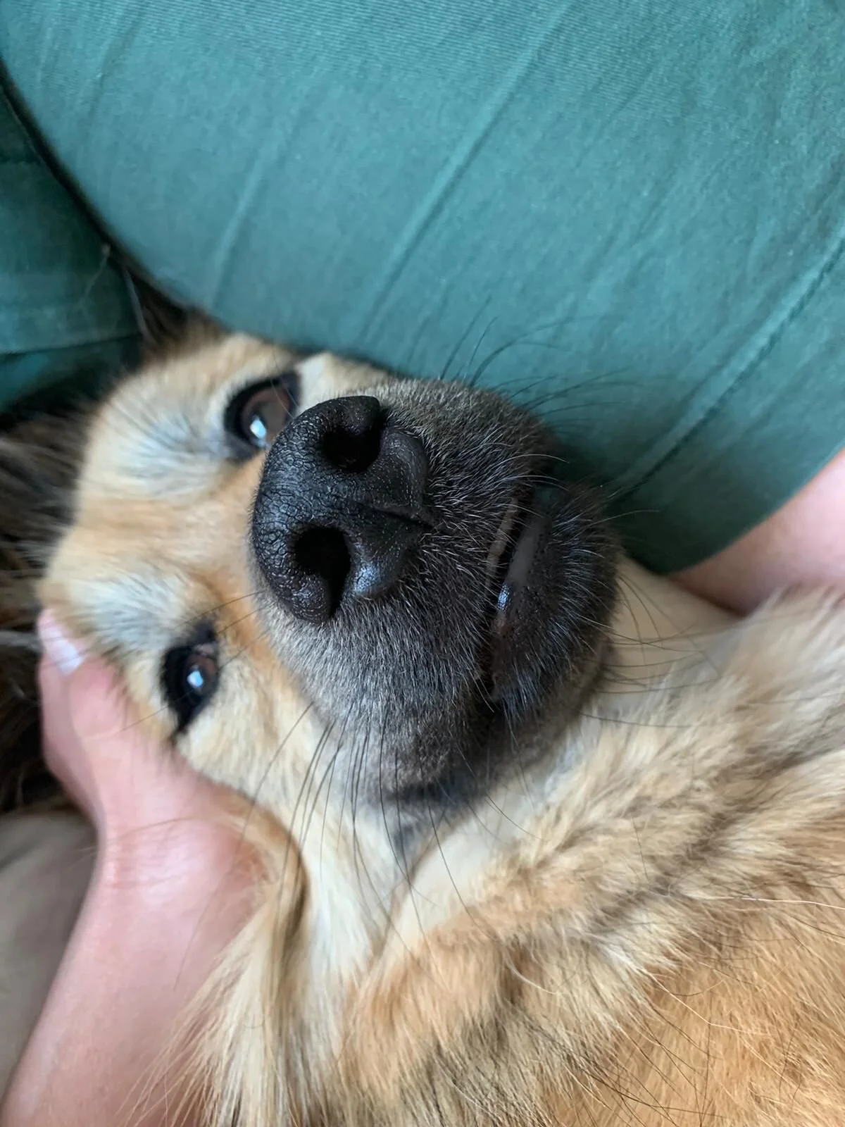 8DBC40E4-9CDB-453A-B9A5-B453749E5388