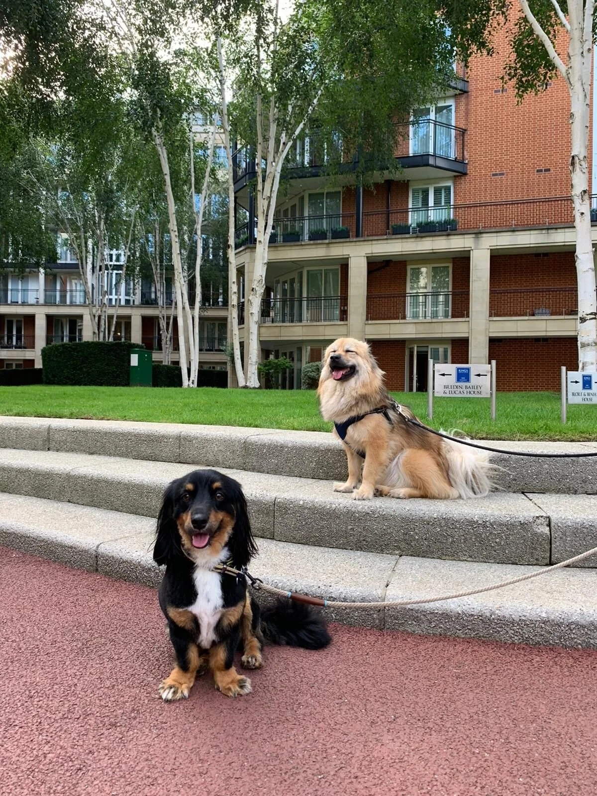 D53688D3-F9ED-4CC9-9330-CDBC533AB4E7