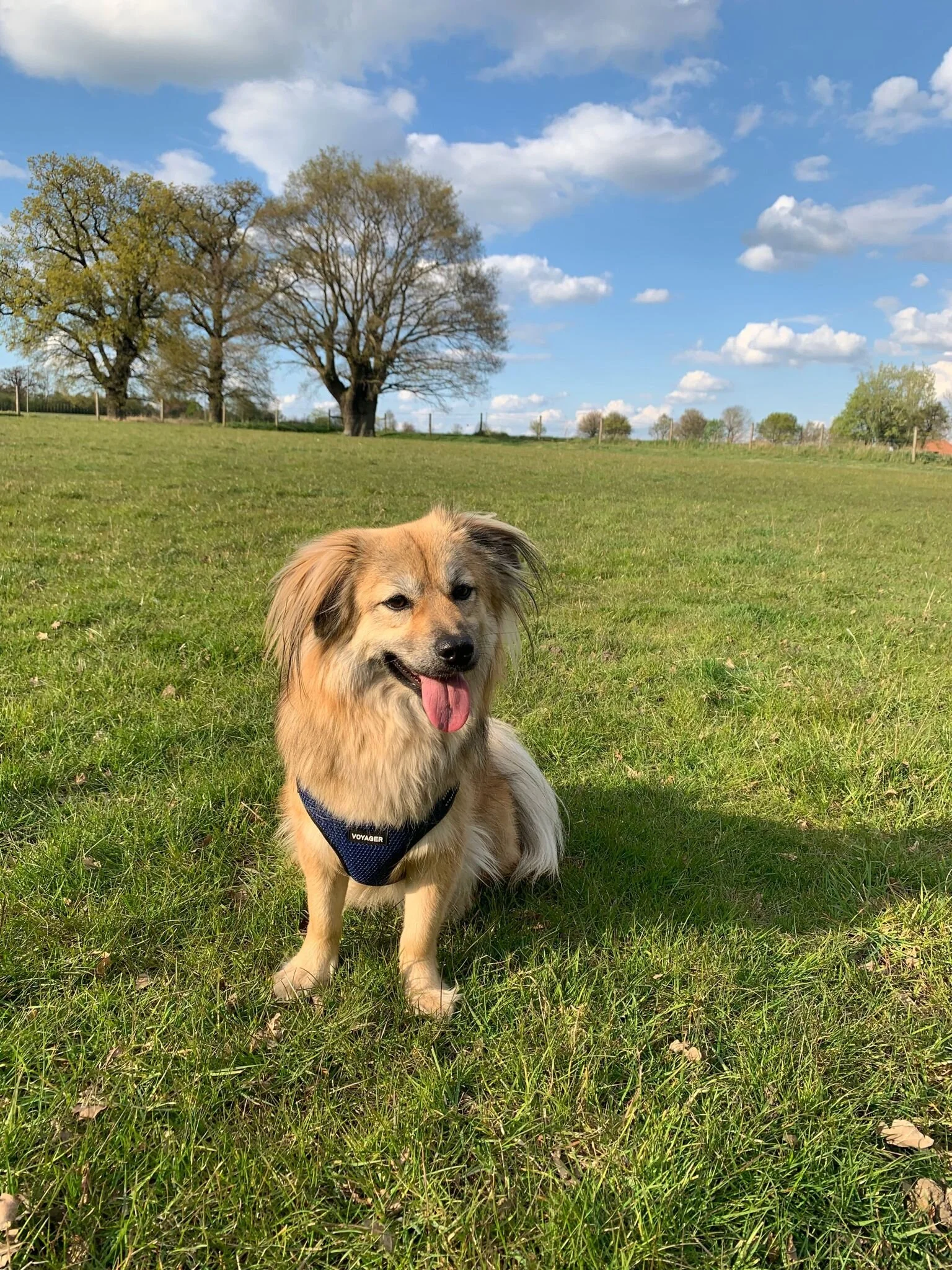 DC539C9A-47BC-48CD-AB2D-5BEBA9FCC147