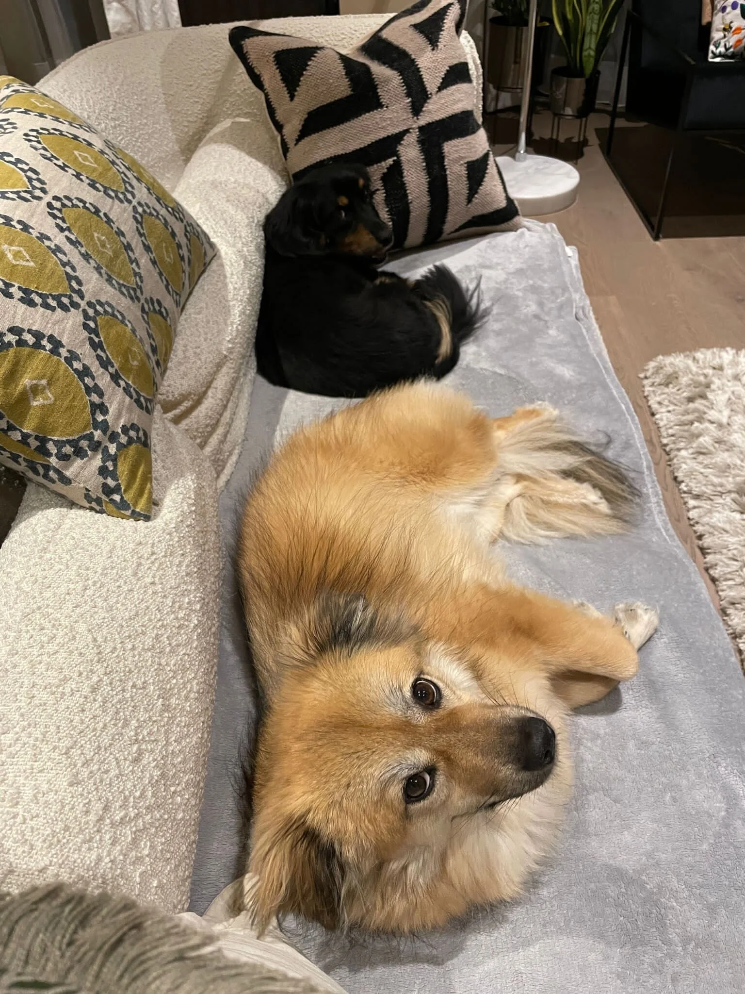 9895A3D6-B51C-4A38-AAE2-79B102B43237