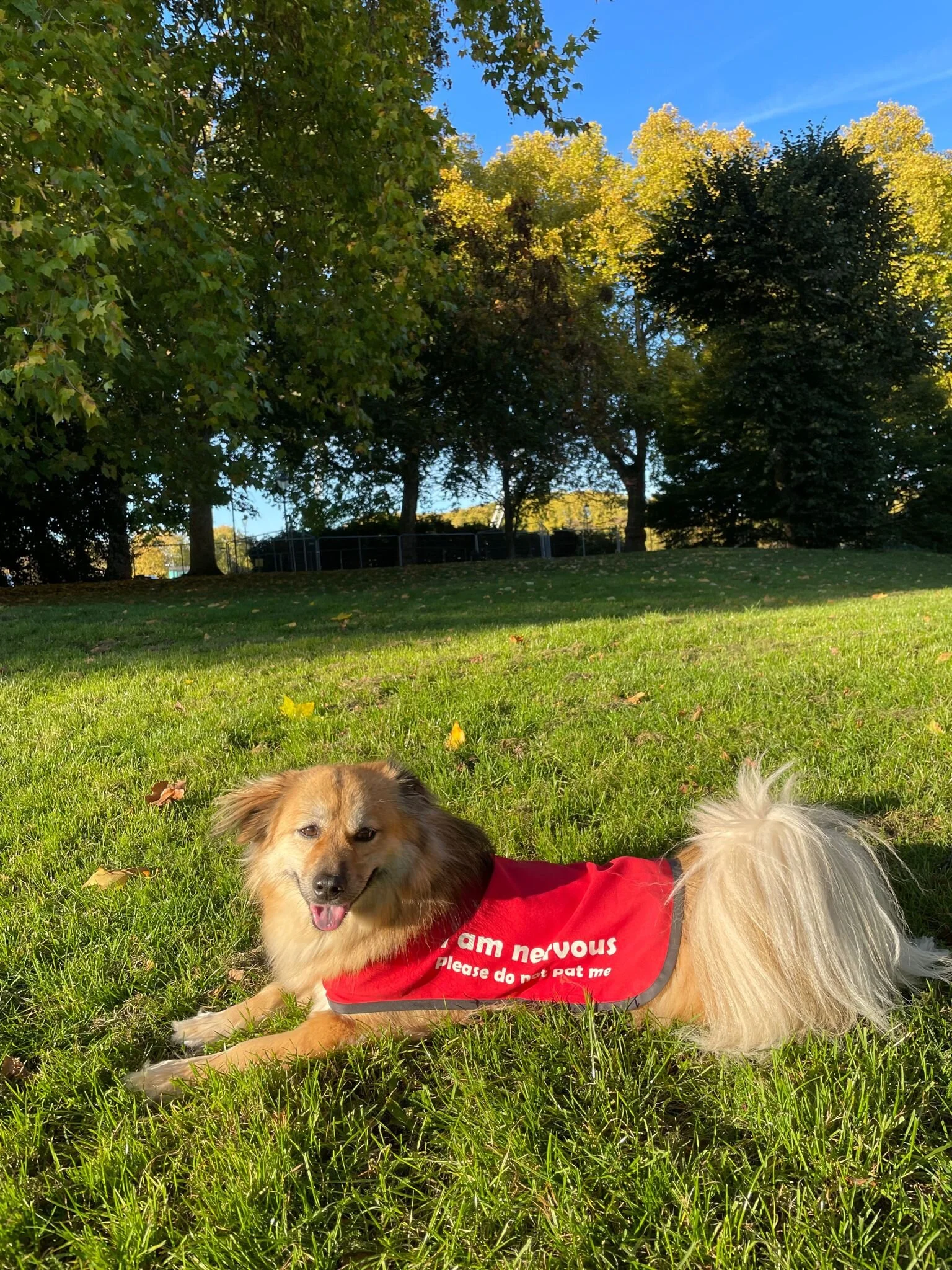 01D427B2-687C-457C-B347-119E5799E3A3