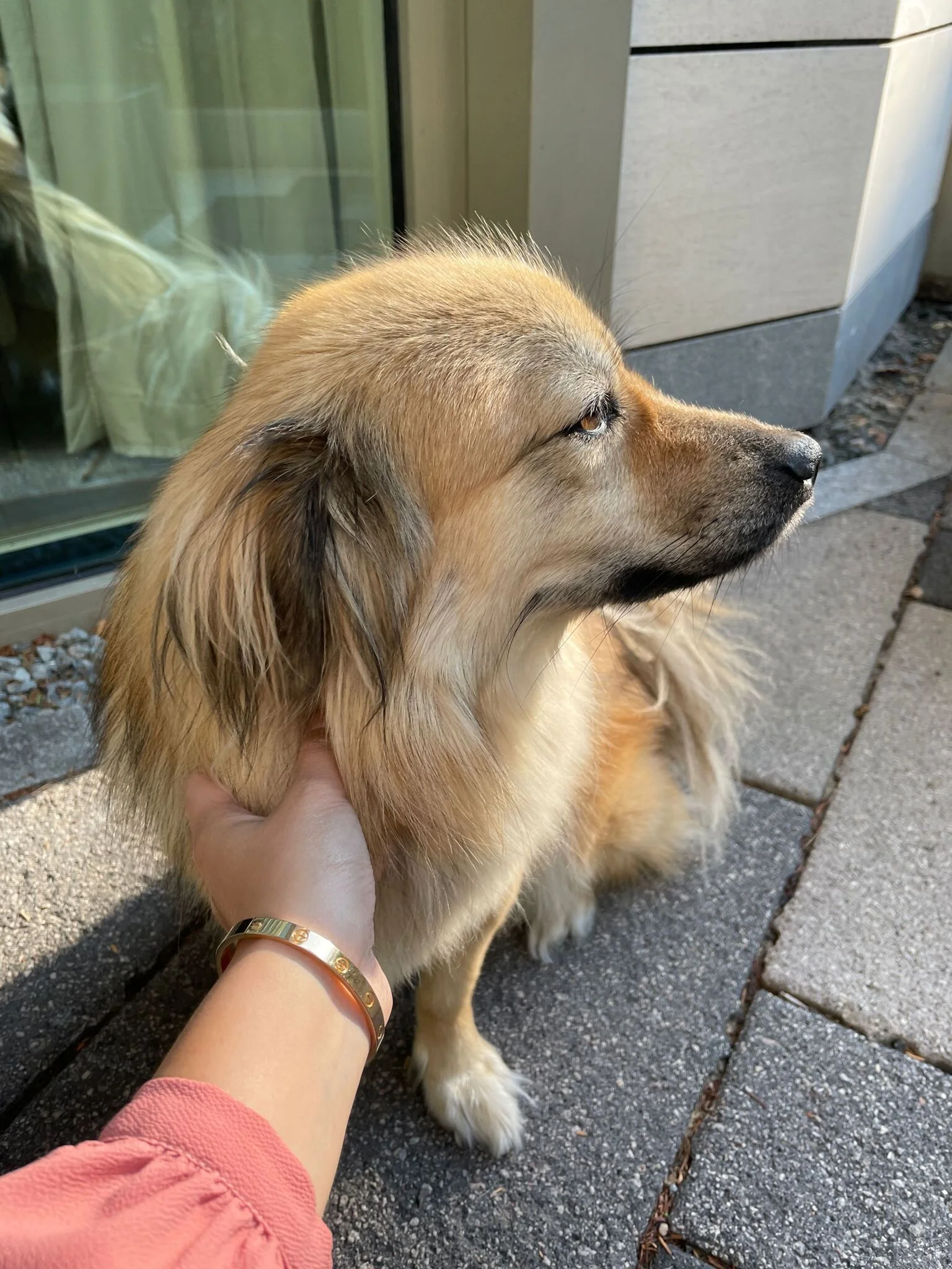 1CD339EB-6E7A-4ABF-B743-87714E1D82BC