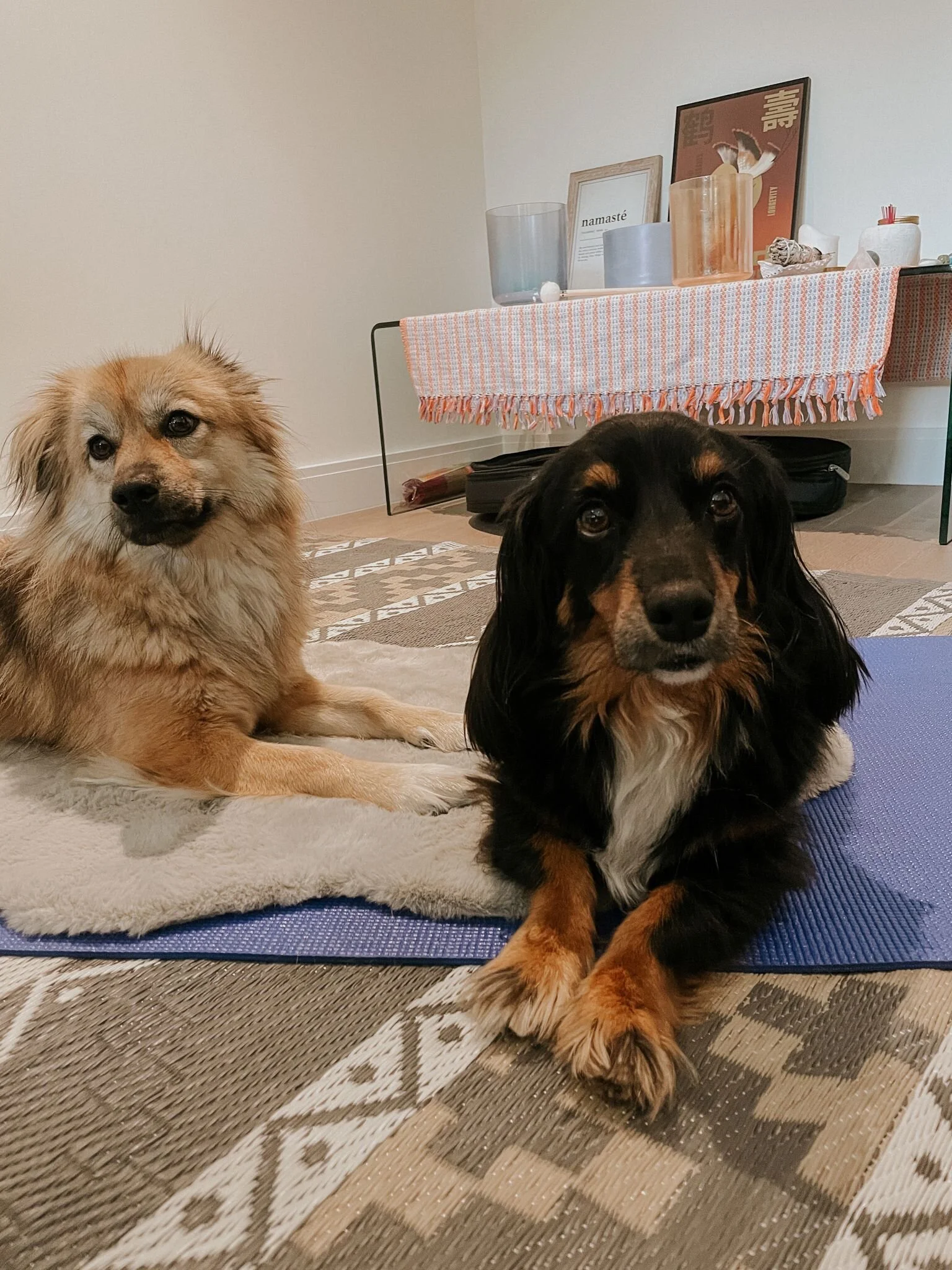 5E503D98-4FD1-4419-A43F-55C917F50627