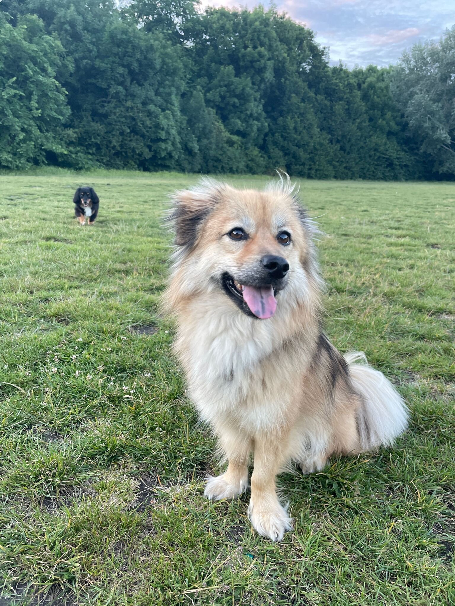 F88C5D97-39FA-4A94-BE8A-8FCD083489B6