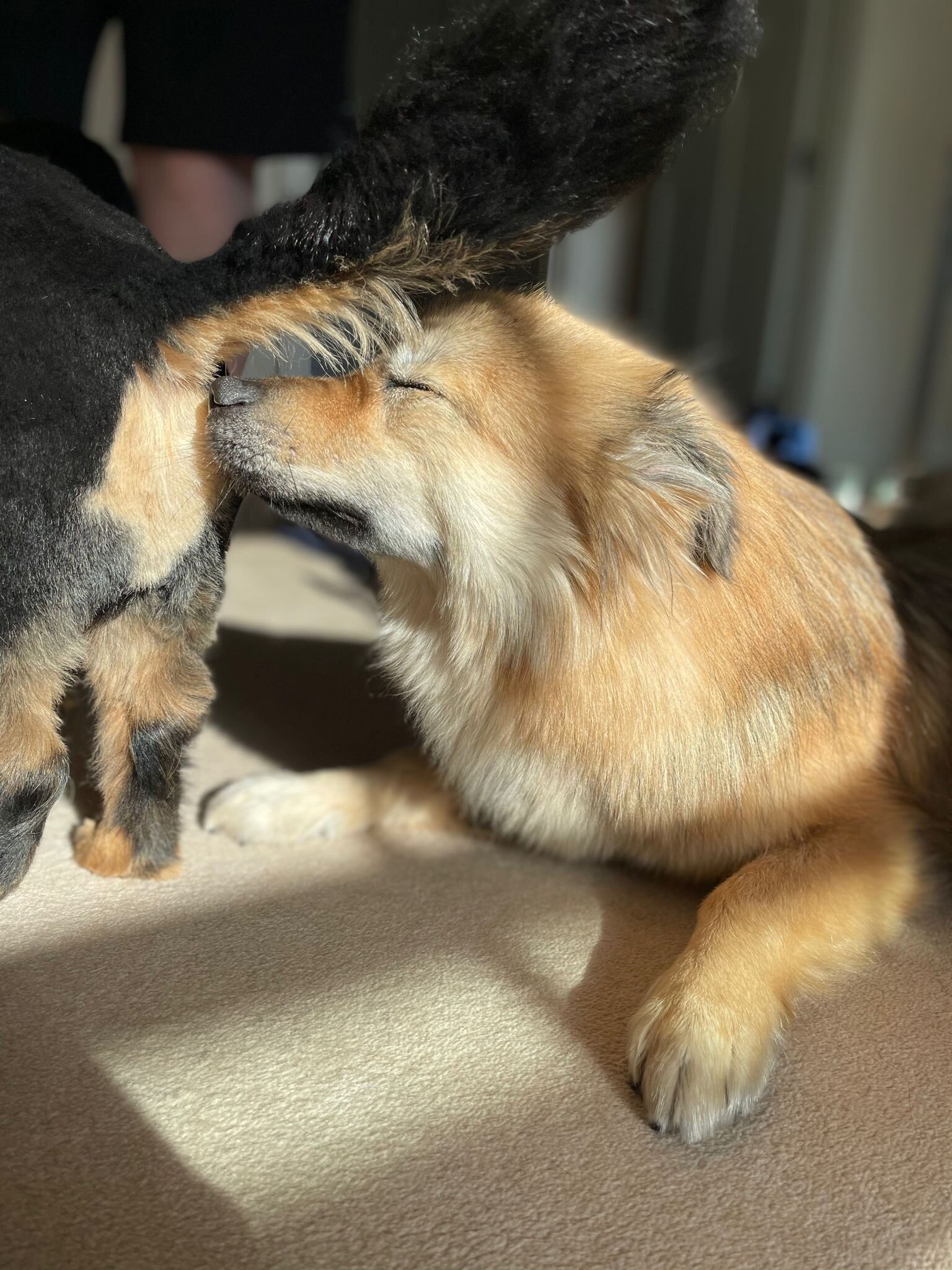 98434F6E-21E7-4EF3-B564-2A3E63C4595E