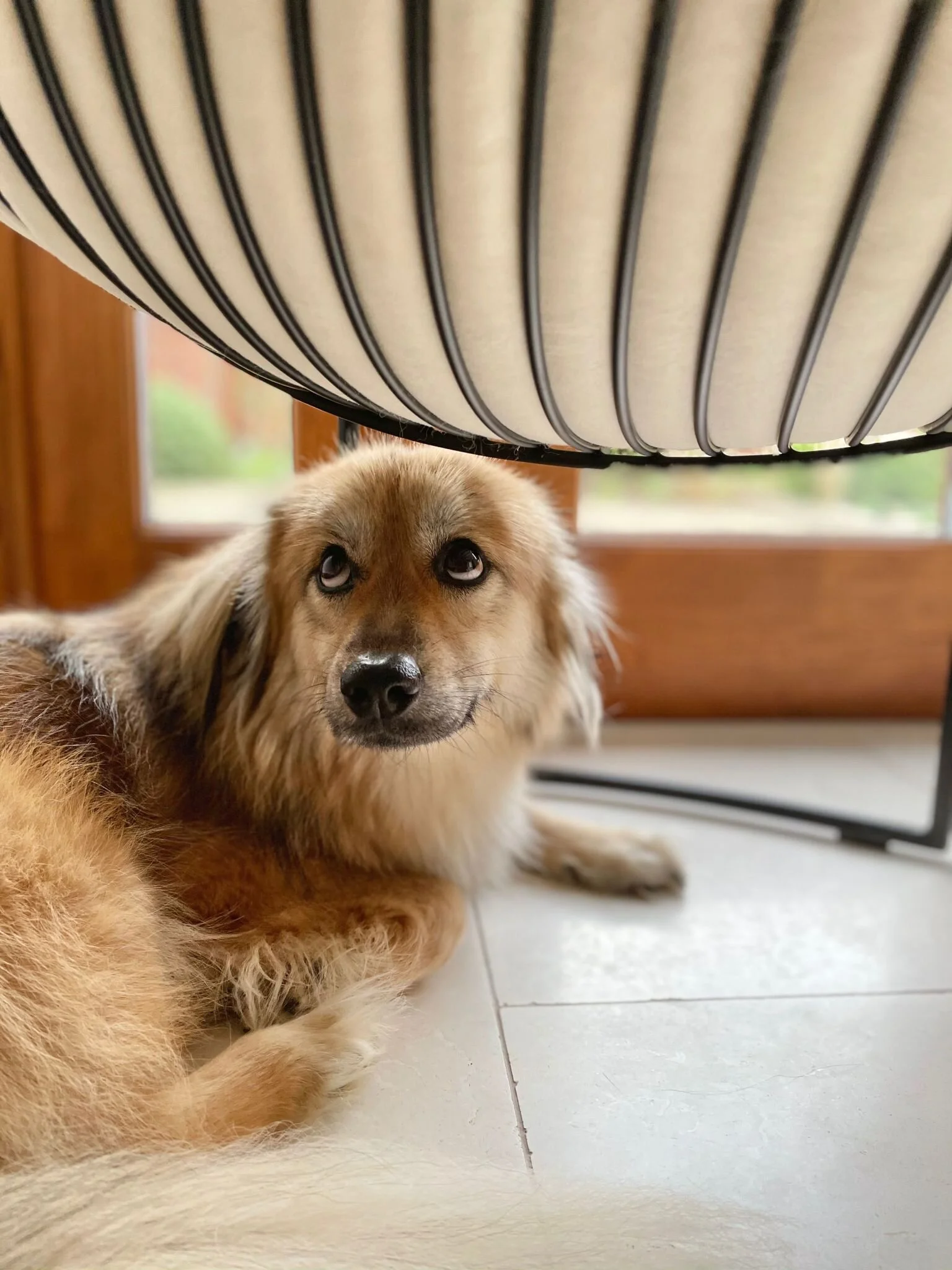 9C0447F0-AA53-435C-9F6C-24CC3B9CFAC6