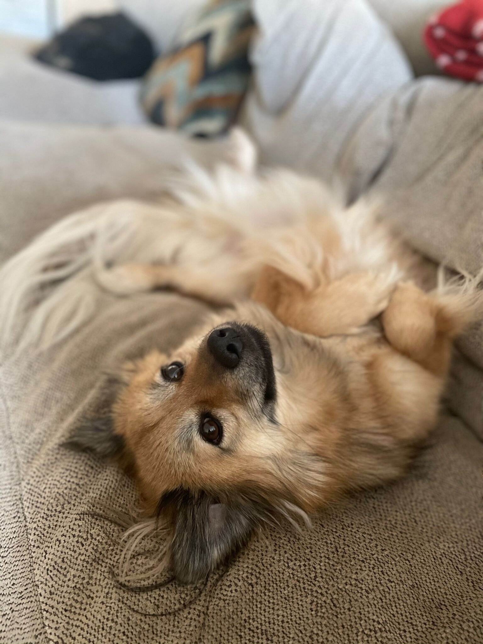 E4C7831F-B69E-437A-A260-C543D6CCACAF