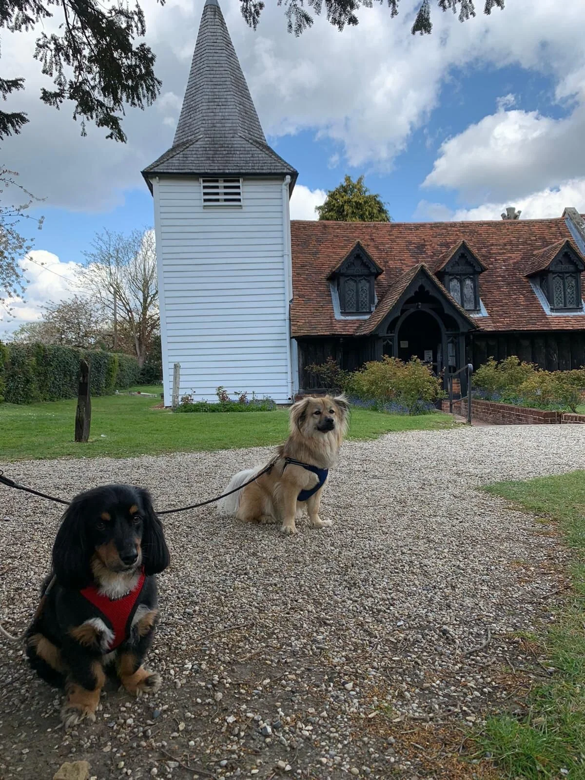 24F85CFA-1EC4-4762-8C48-9C704F9F2794