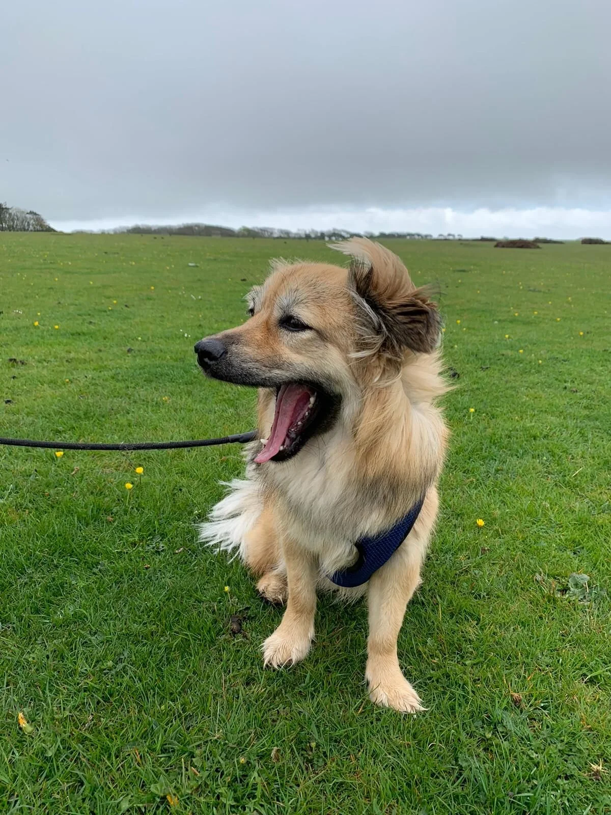 C4300912-9235-455A-B99B-E3049ACE7438