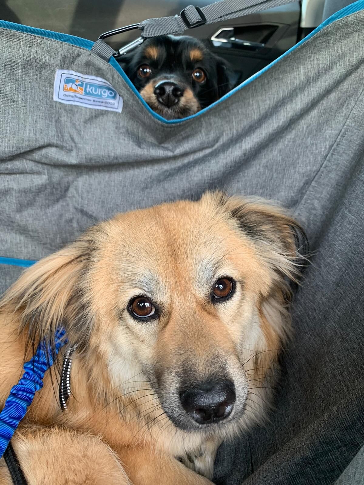 D09B6C06-740D-4964-A4FA-0420BCC88401