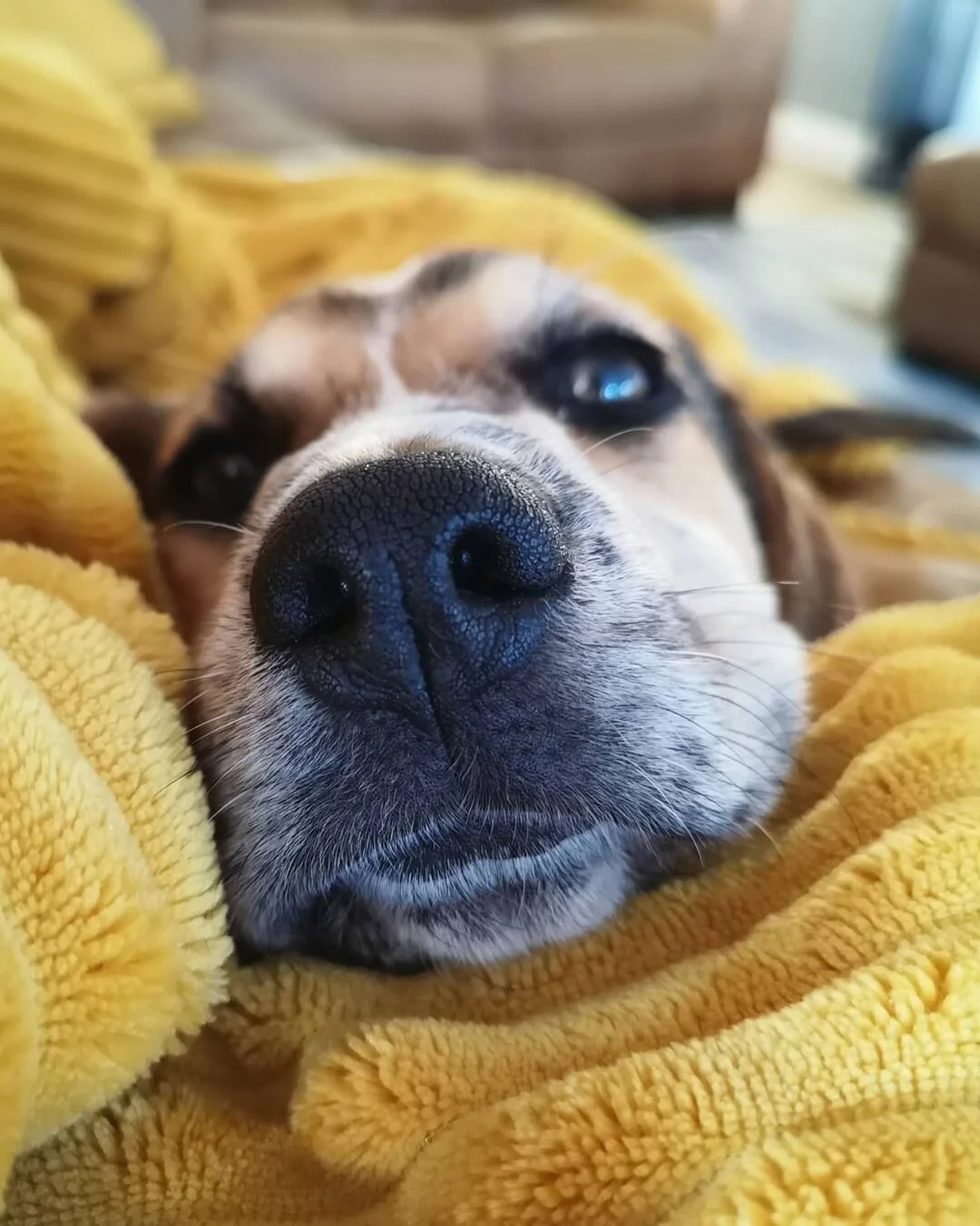 C00A6829-0F50-4B69-87A9-C1C32739B71C