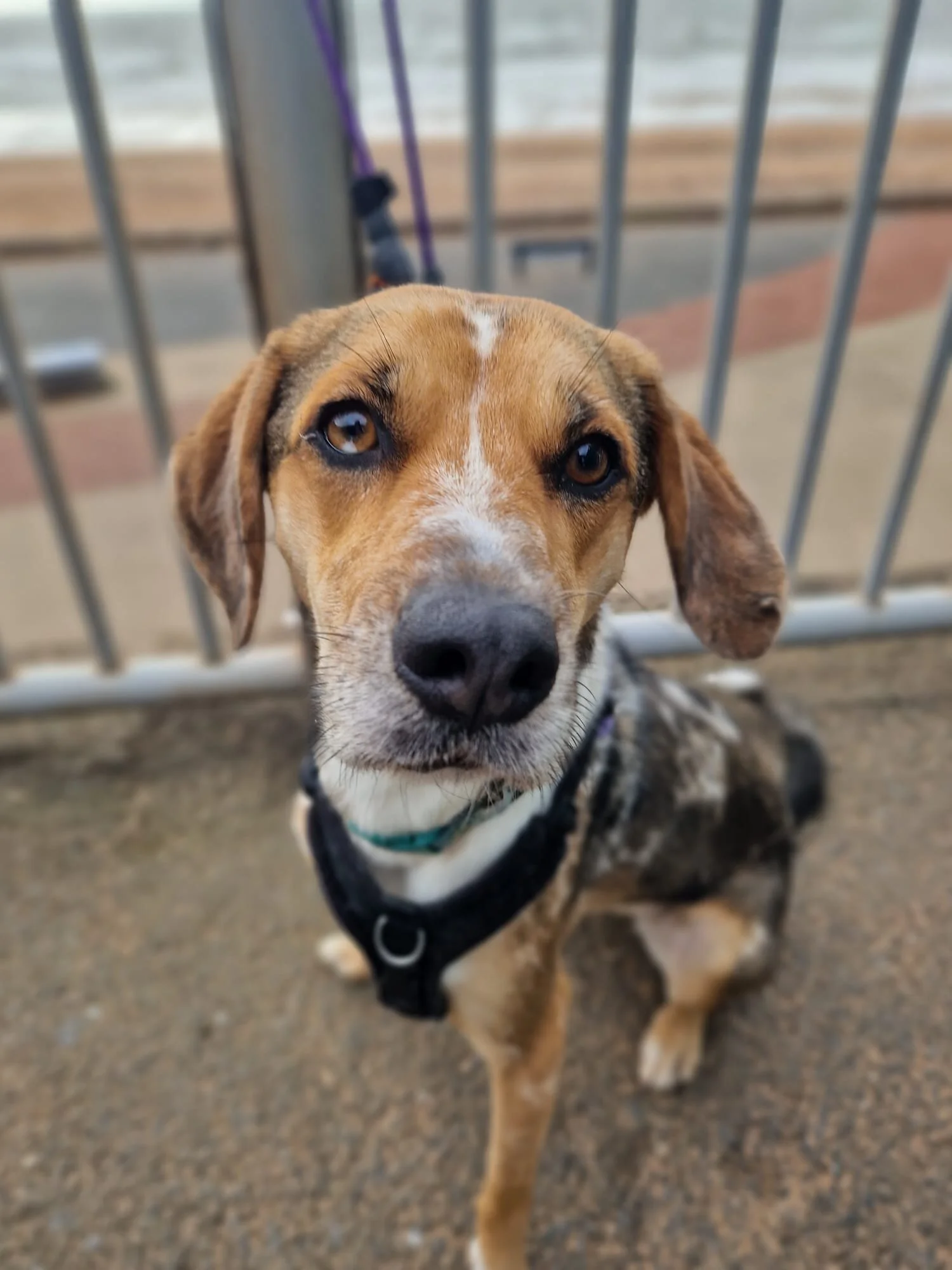 ED961D6B-DBB9-40ED-B6F7-AB6FBD467EC8