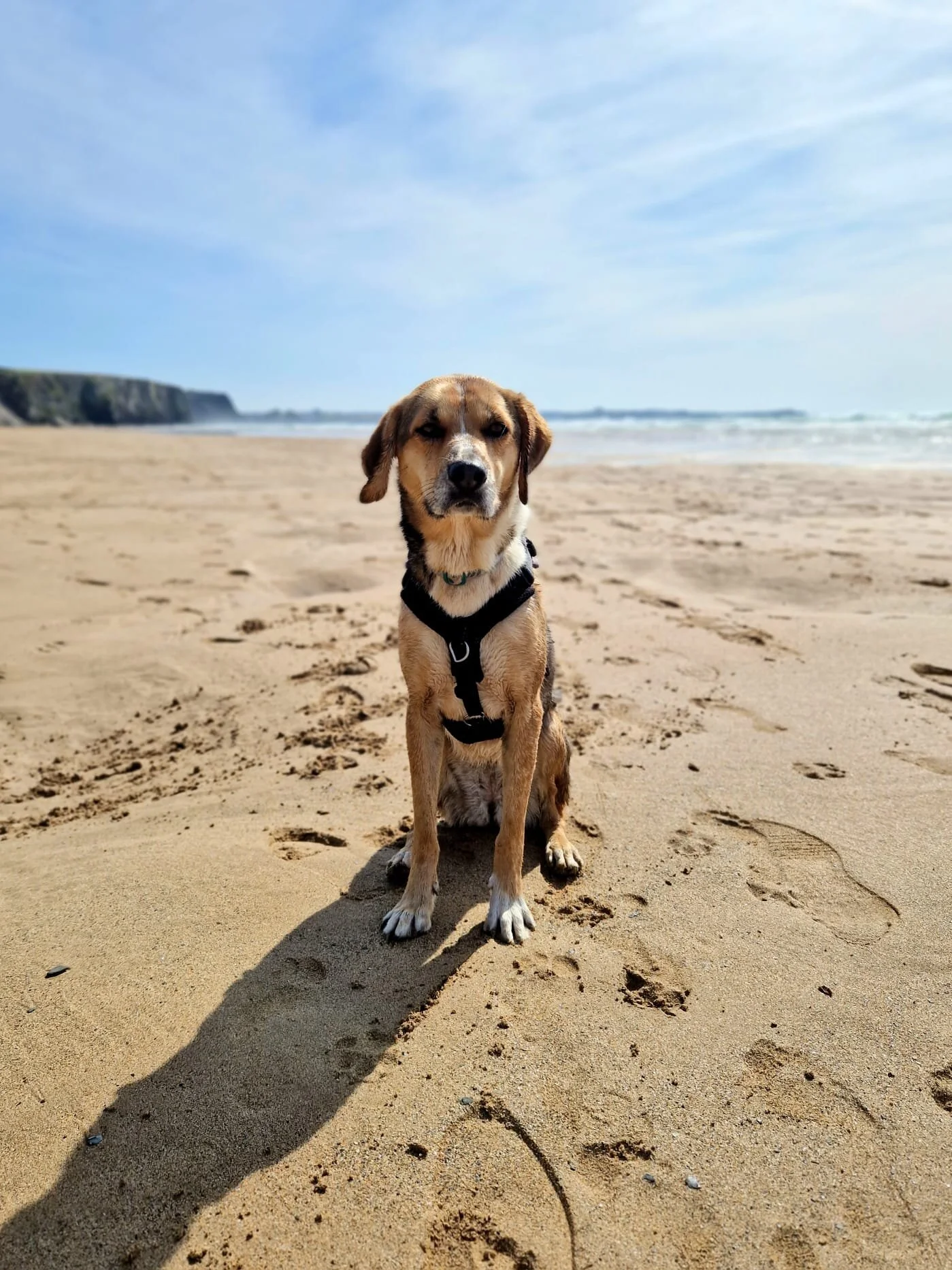 D4093BD8-1064-4EEA-88EC-DFA4DFF7D6DC