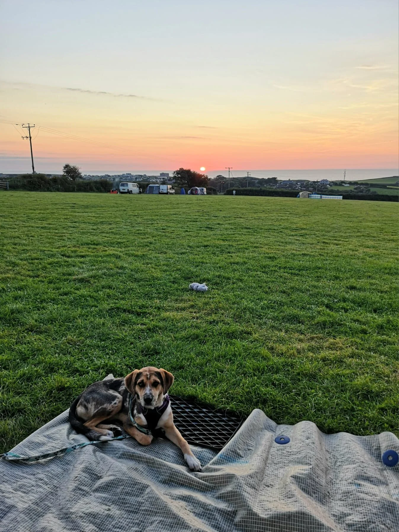 475C5D41-3CFA-4146-96DA-E4AB9D18B35B