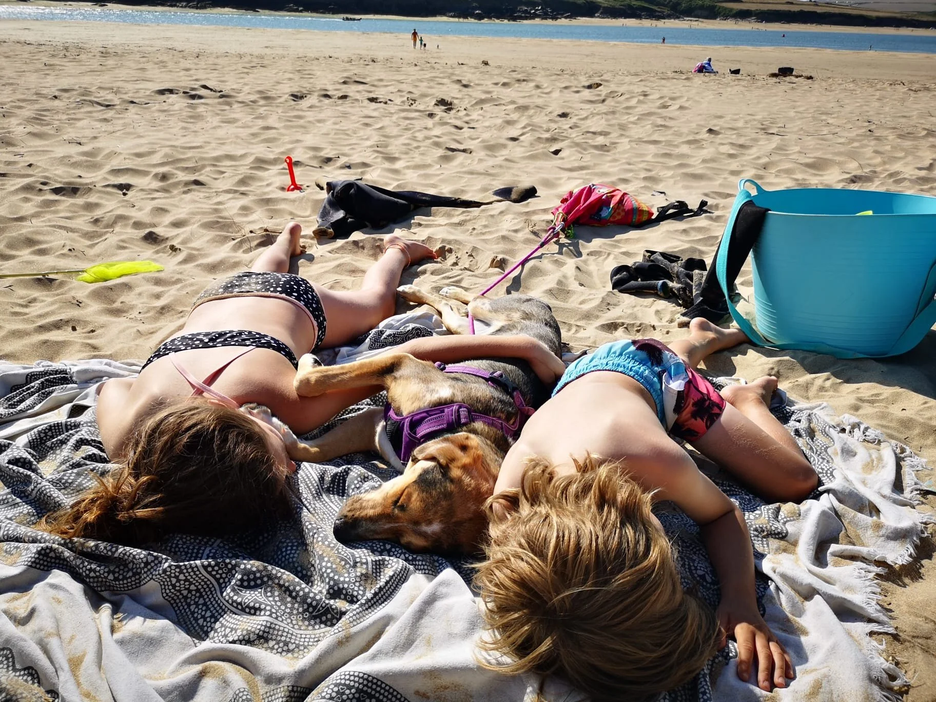 BC02D99C-D87E-4867-8A13-FFEE28031912