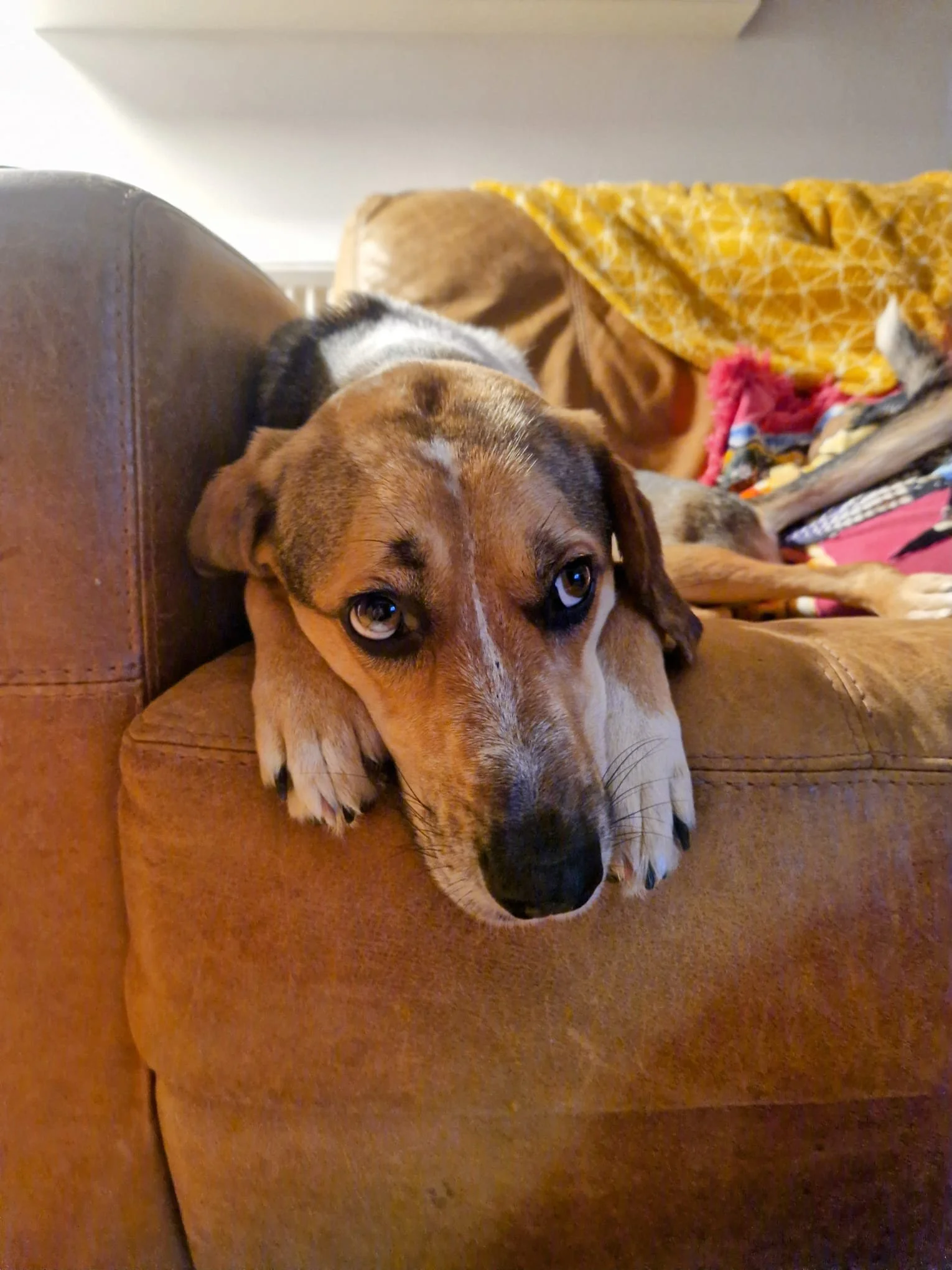 67E16246-0439-443C-BF56-33BC76C928D0