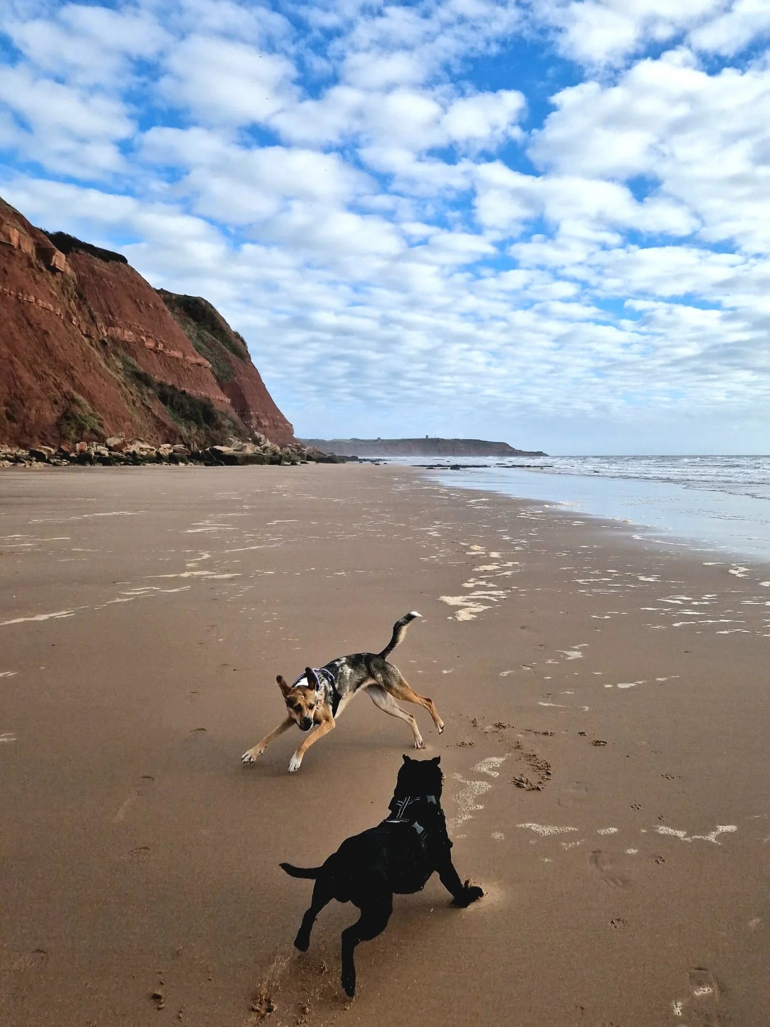 7FB05733-29B2-47F1-840D-DAF97A8E38E9