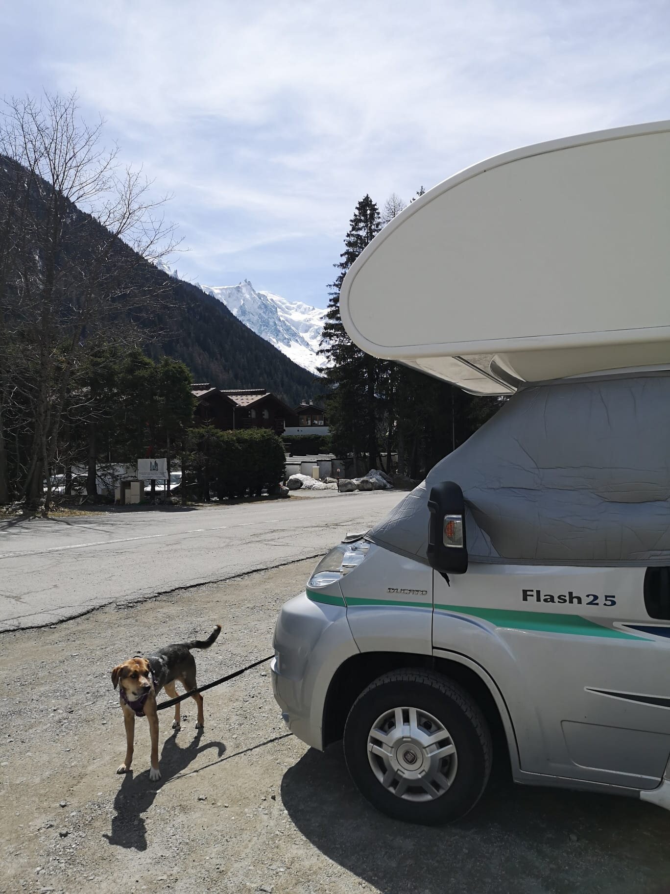 9D20AFED-671D-4DEF-8EC1-2272B8EEBC02