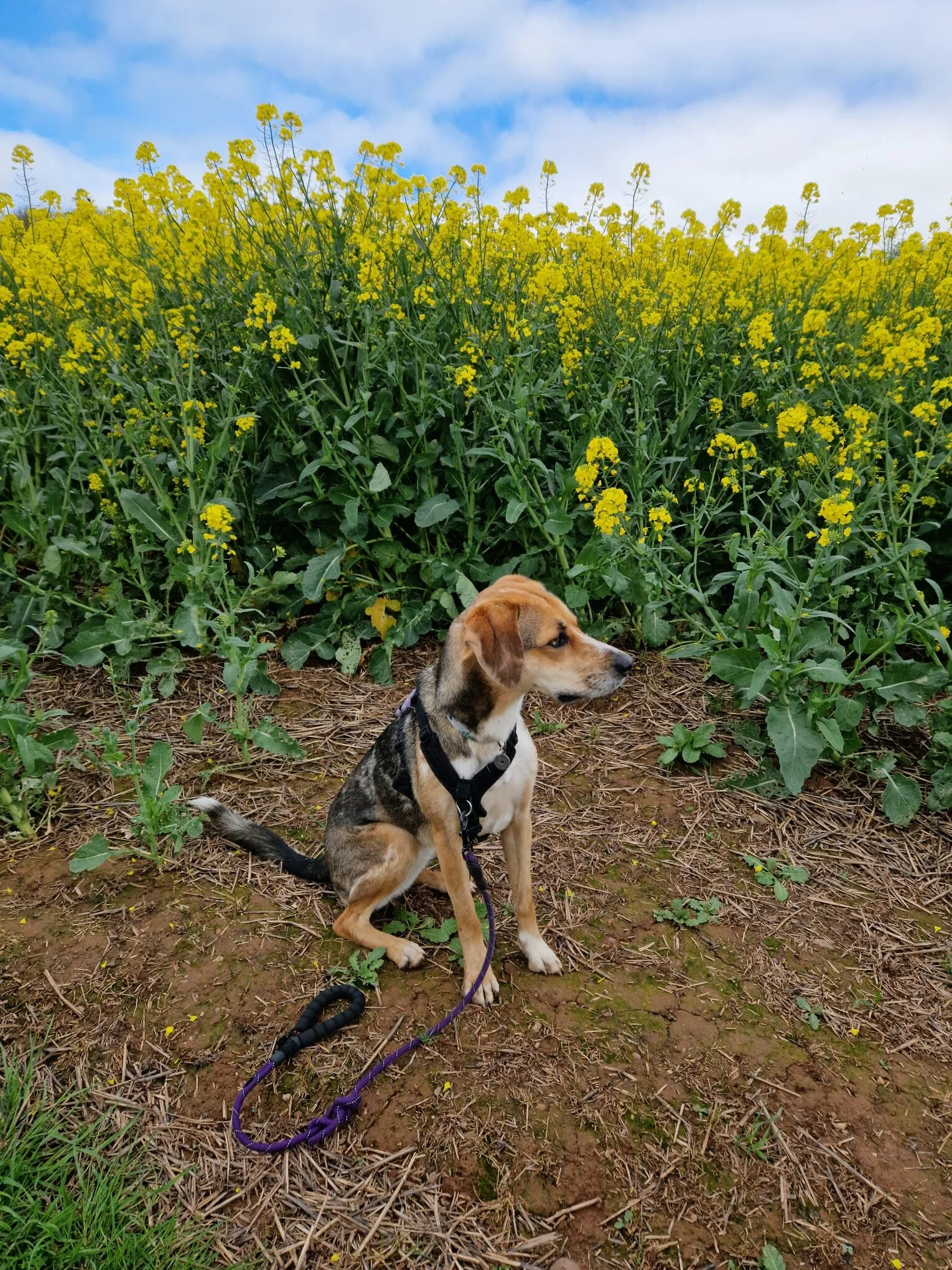 B97EB726-F89E-4763-99D3-609CBC2F9F83