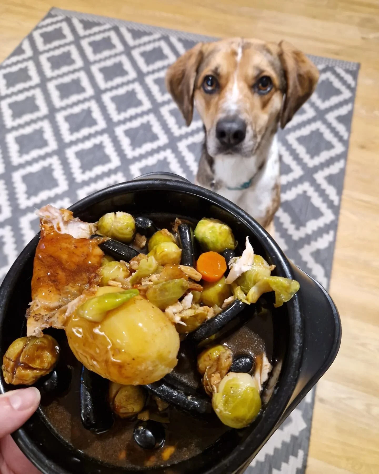 360CFF0D-E02B-463A-8656-2DB4264F7D68