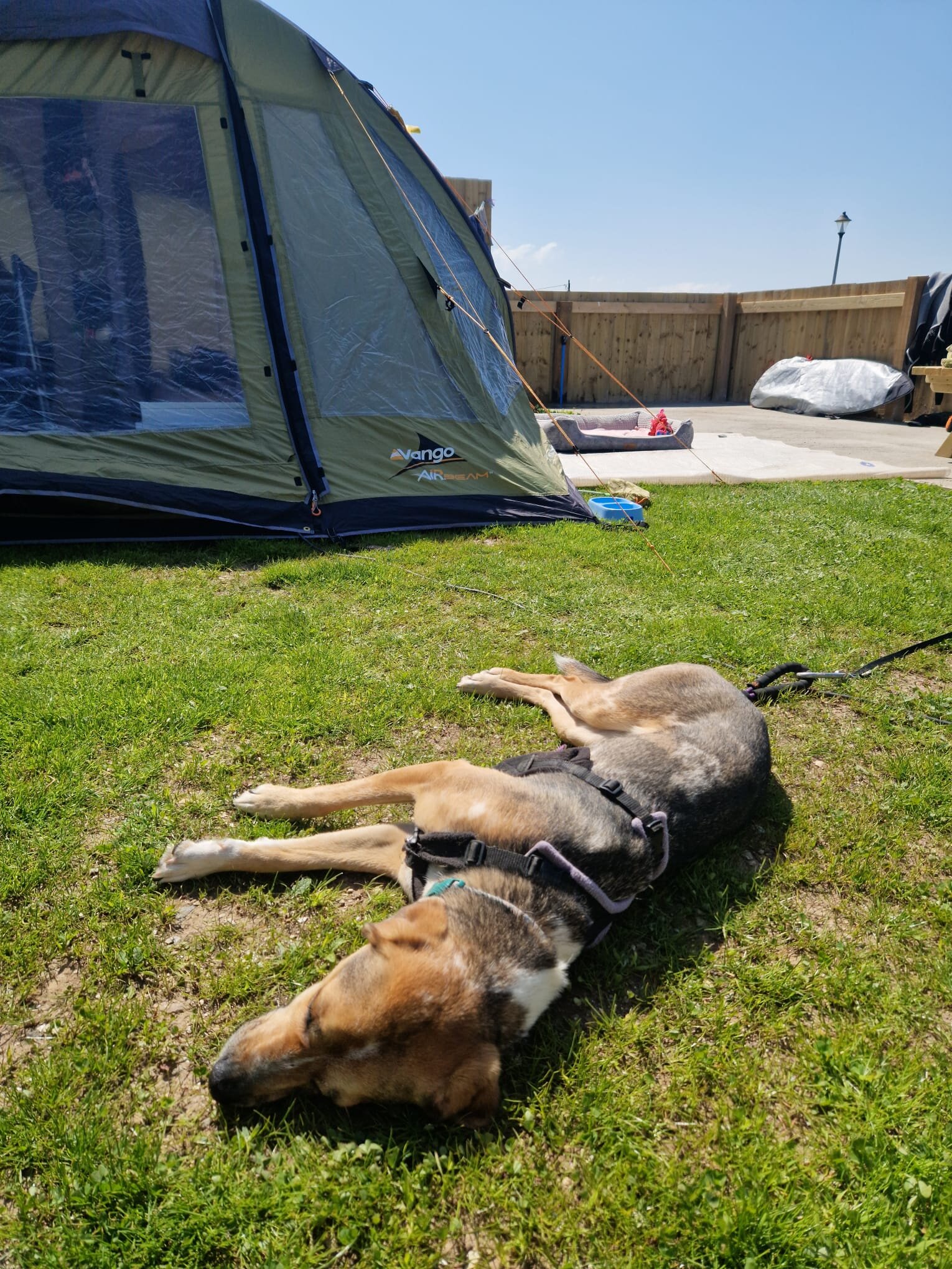 B08FA0D8-8E2C-4657-9613-BD68D4B7F634