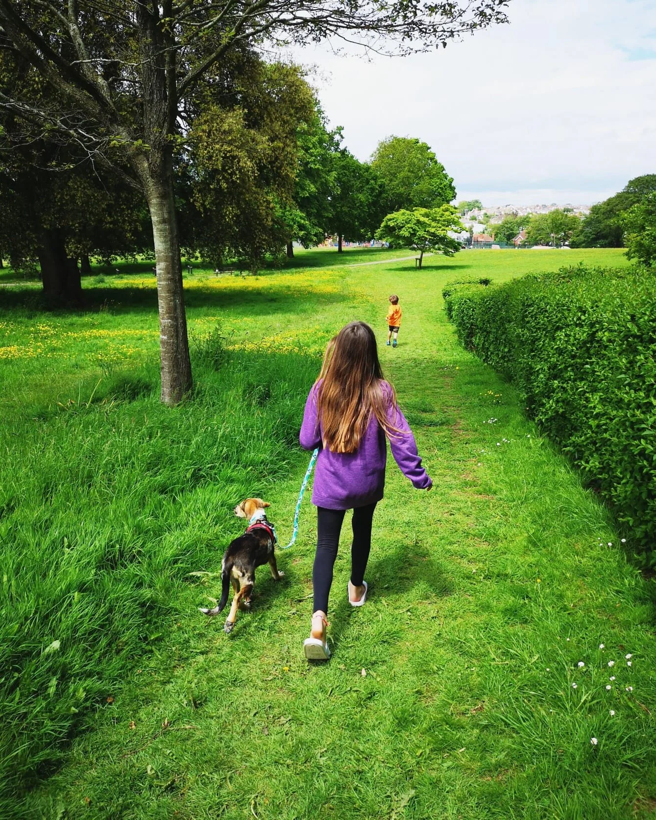 8D8C6E63-4FEA-4128-BA13-40B6AE10E7F5