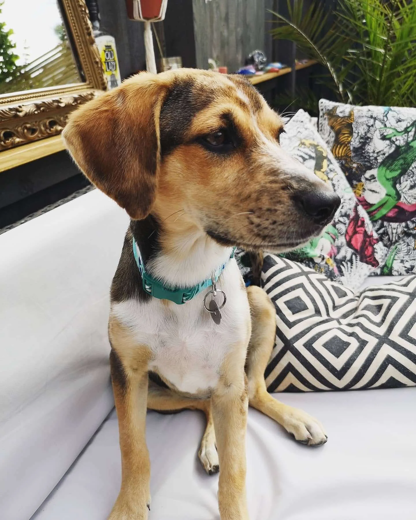 E82F484D-4C84-4B37-86AA-975A202A3293