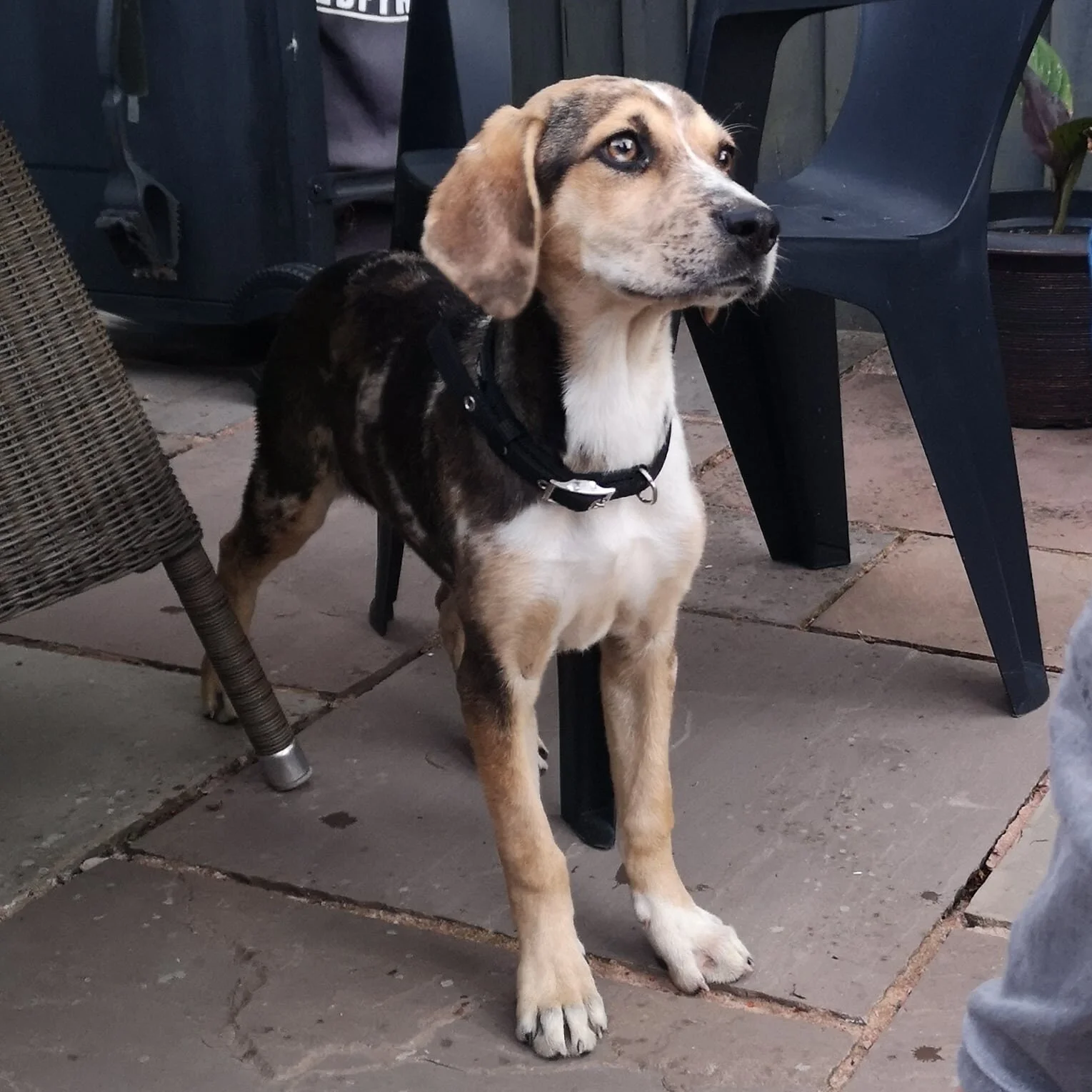 B95DDDC9-8EA5-481B-A3A5-B29ABB5A7375