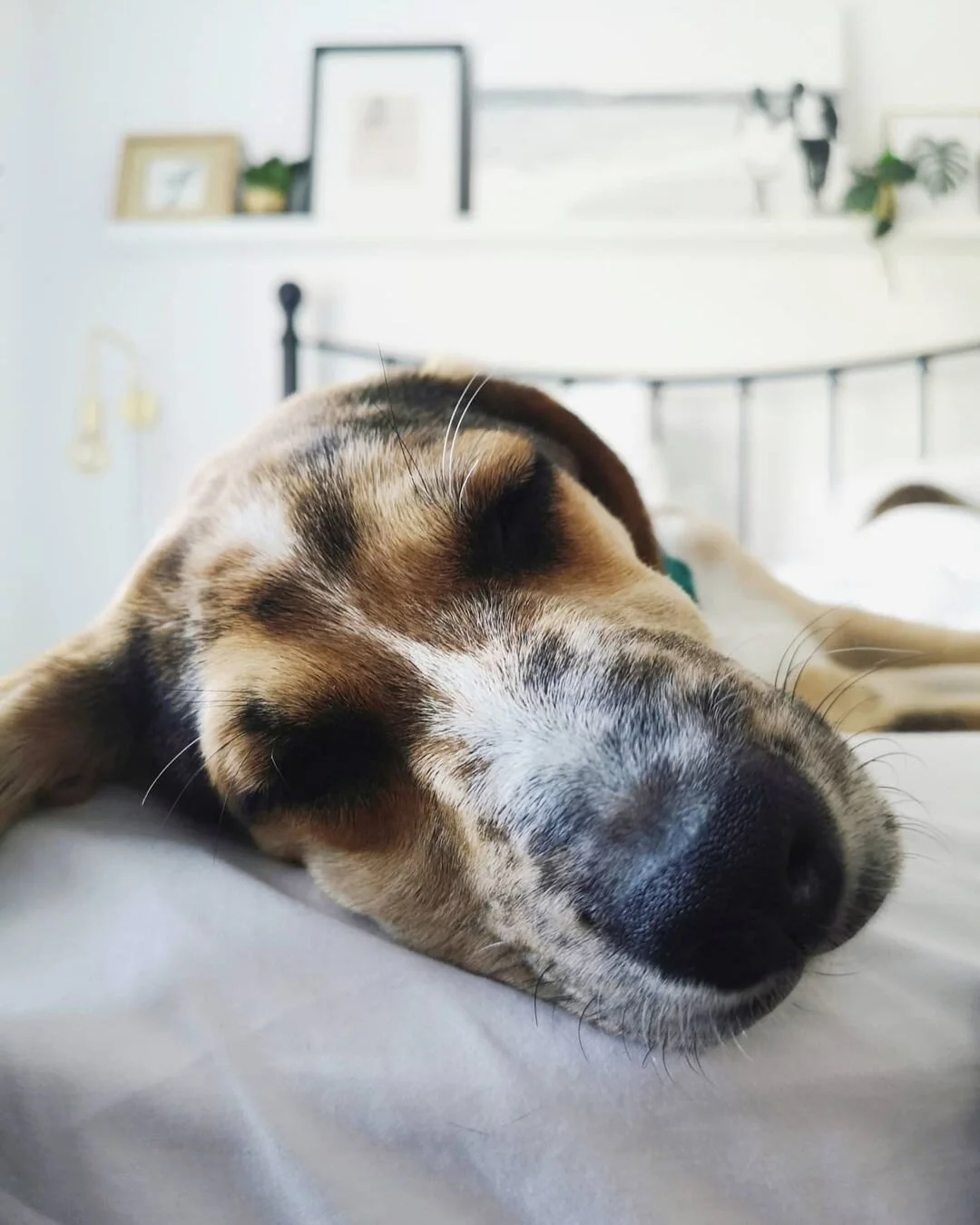 85C0E821-D894-4D1B-B45B-CA5E6E94527F