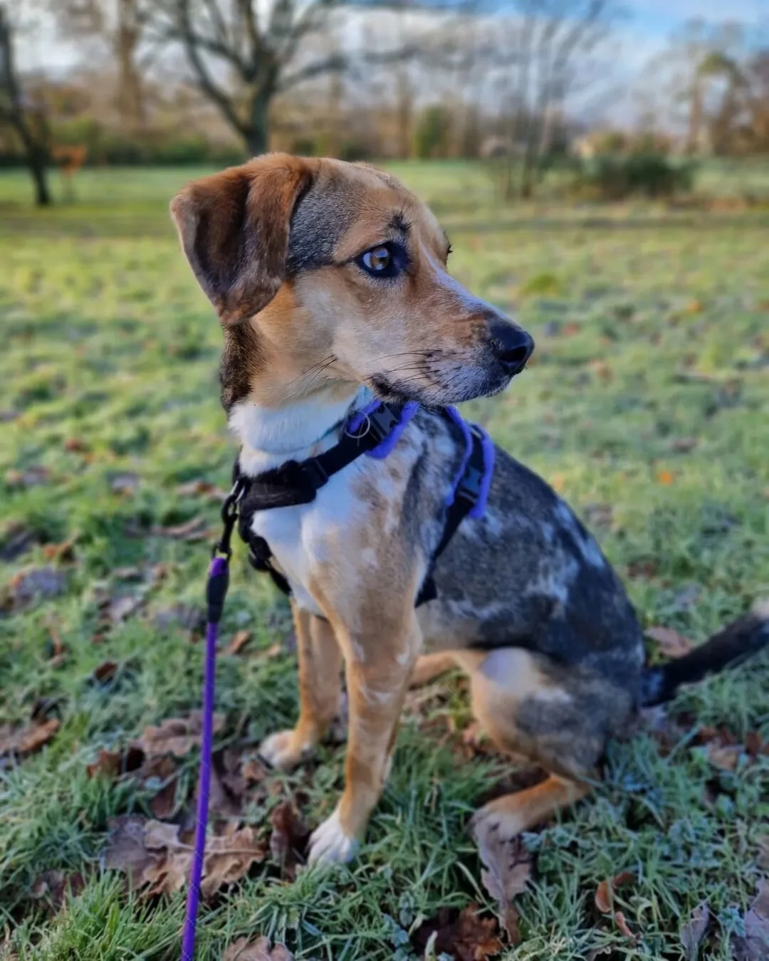 B38056FC-5339-4646-BFC7-532AB9D74686