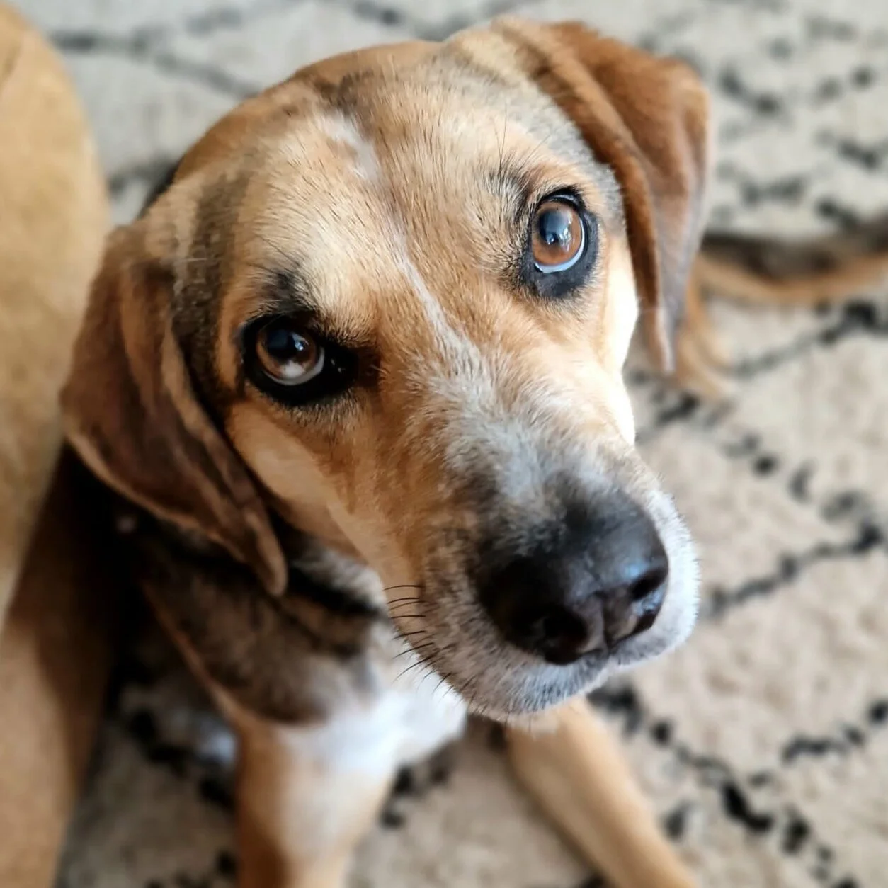 D530C8C8-A388-4D10-8CA7-C18554A9DB7A