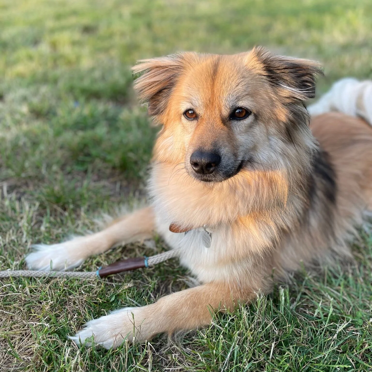 D51BD469-818C-47AA-9757-706AD986160D