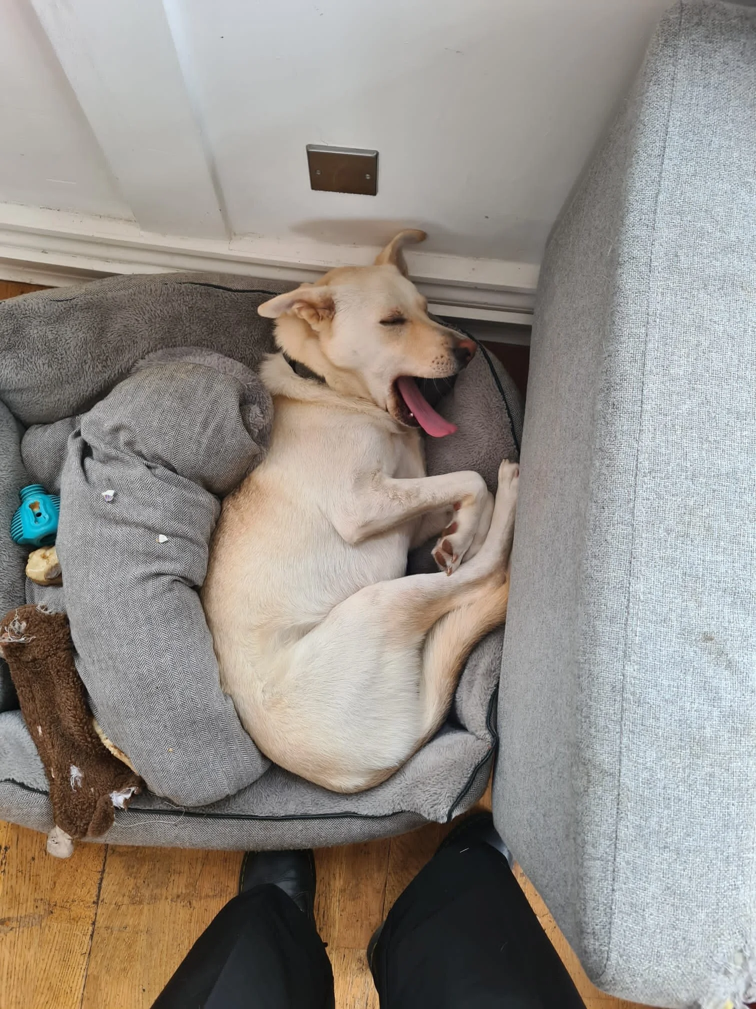 BDAABEC9-56C9-4944-9E6C-A18C4D73B053