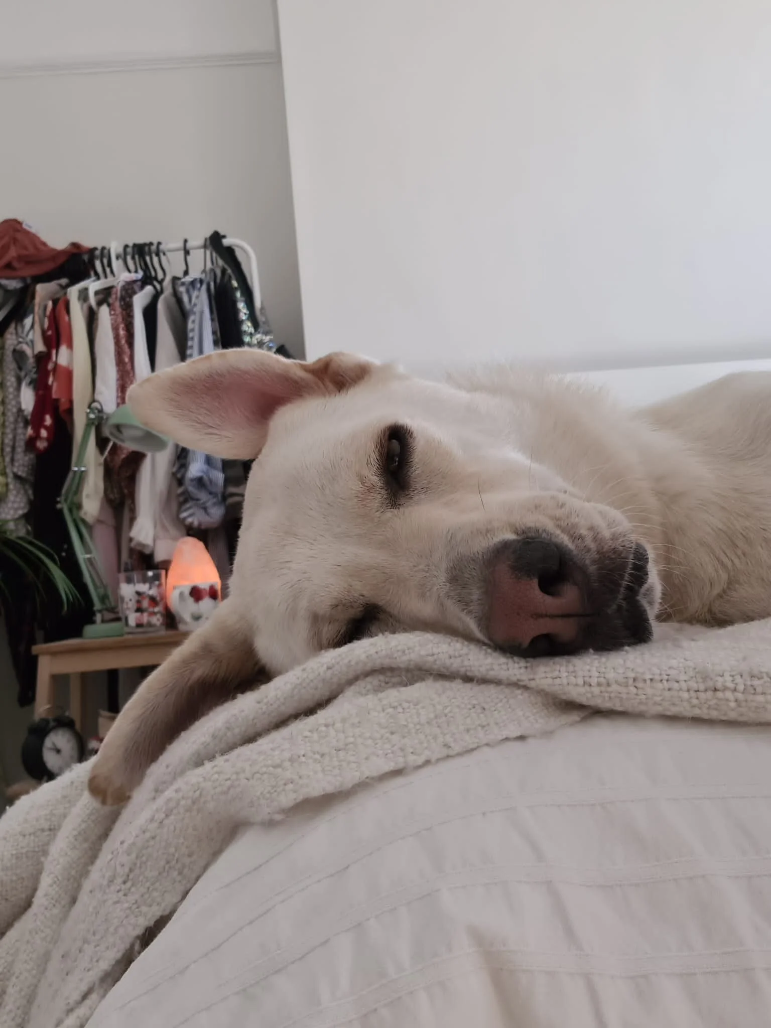 0BDC4C3E-F4D8-48F7-BD11-6123B27283AF