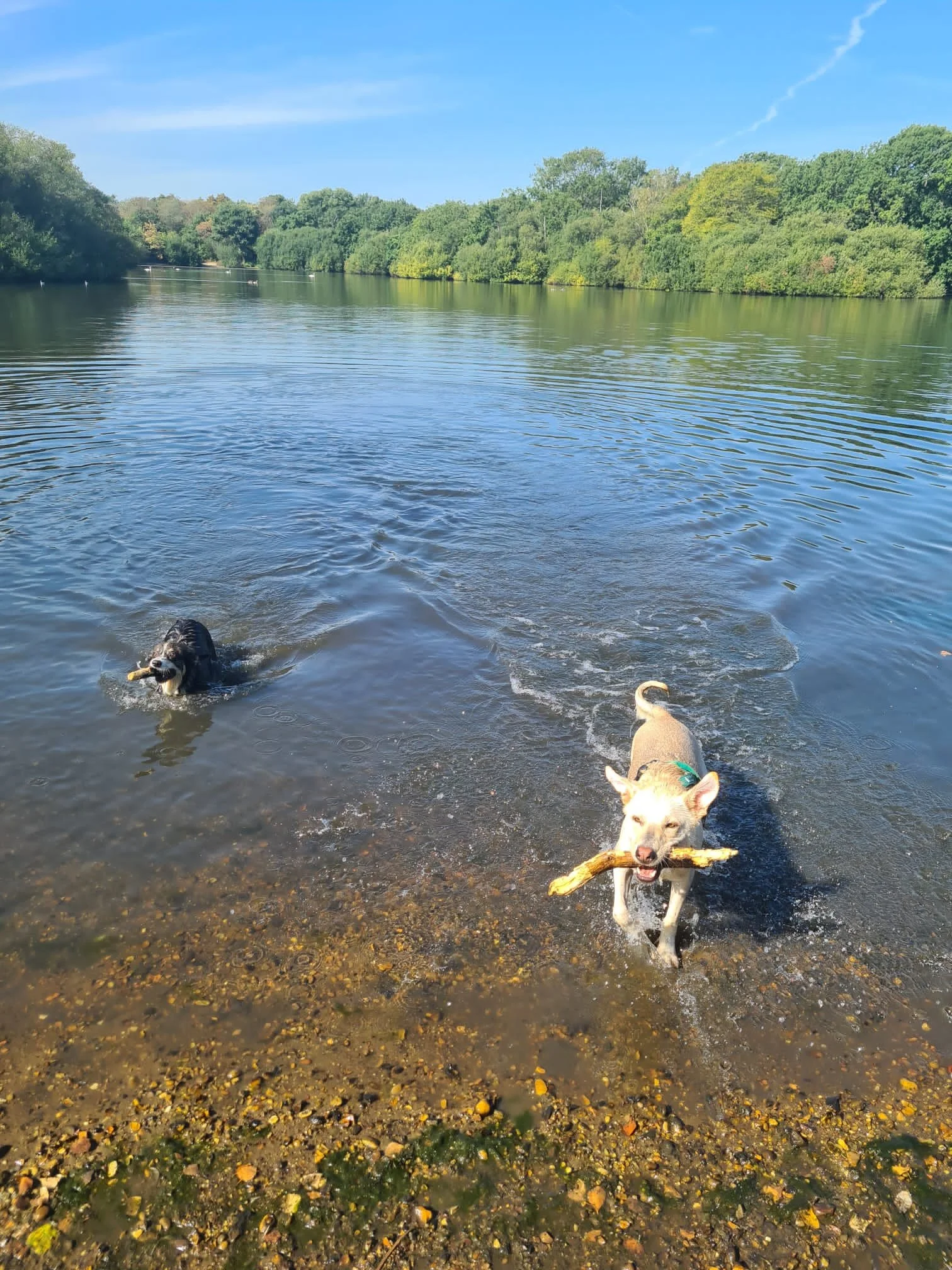 0550BDA0-315C-4EF4-B9CD-F7397A2B449D