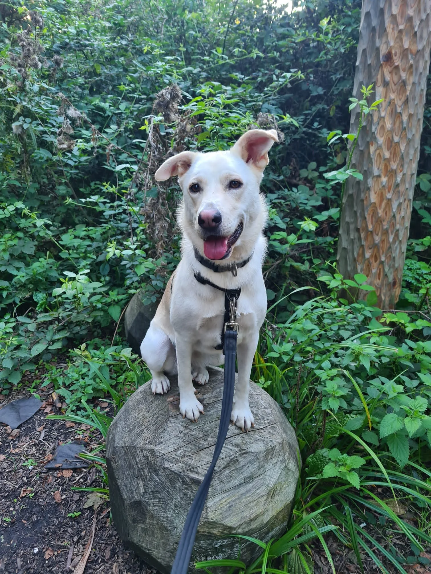 8463BC08-73AF-40B7-964A-F22CE466FE6F